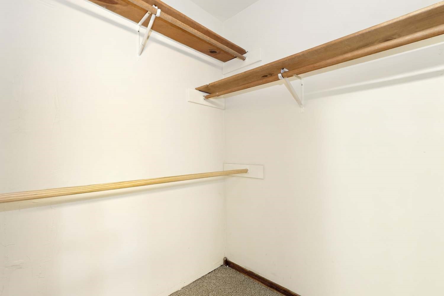 18015 Tall Cypress Drive Property Photo 14