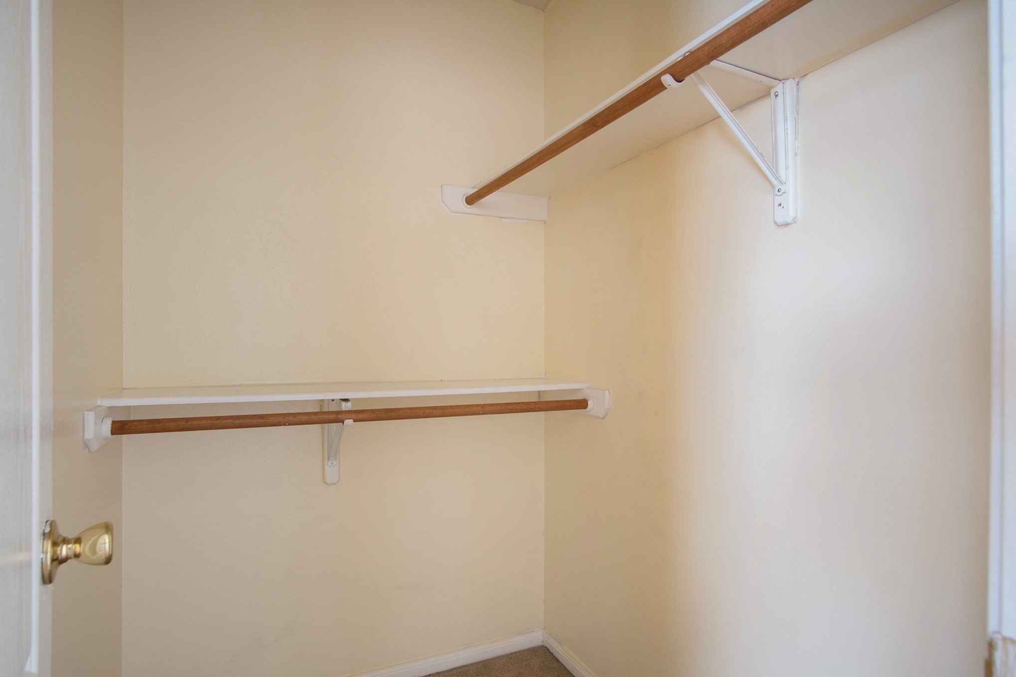 1237 Lovett Street 1237 Property Photo 13