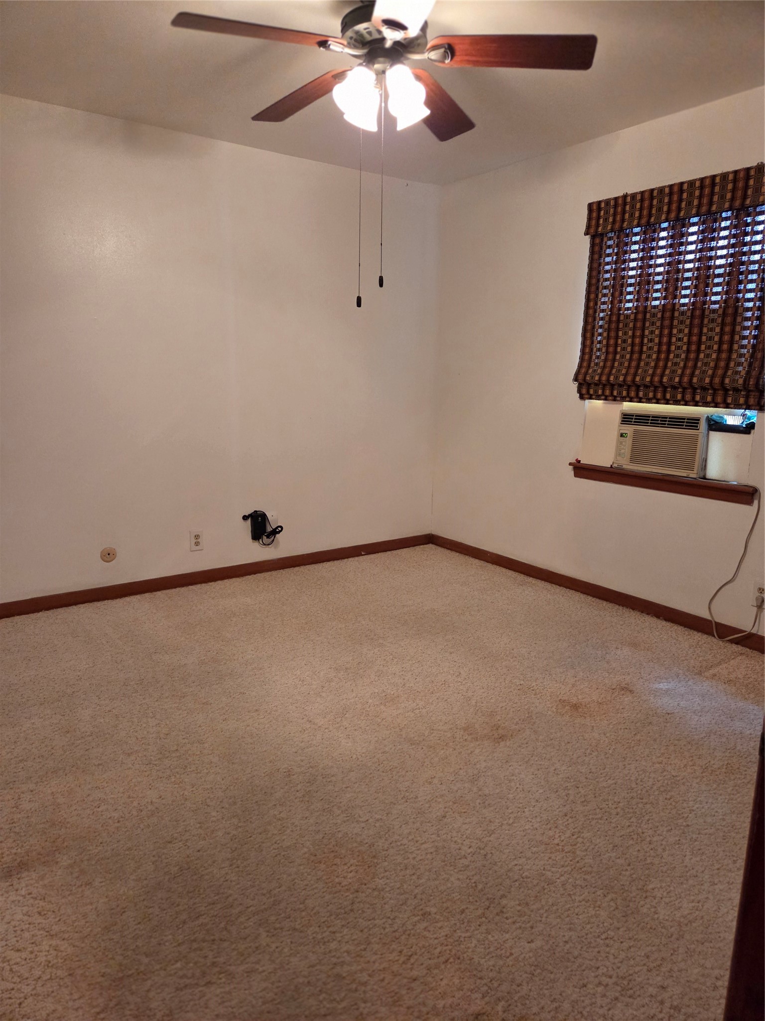 2306 Reinerman Street Property Photo 19