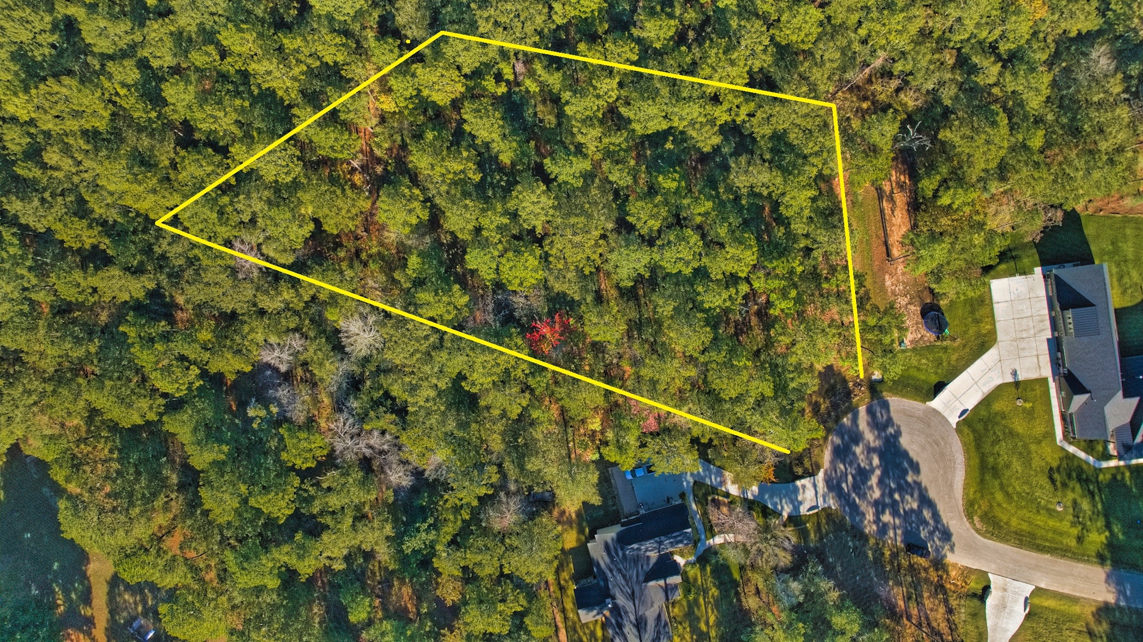 8602 Cedar Meadow Lane Property Photo 4