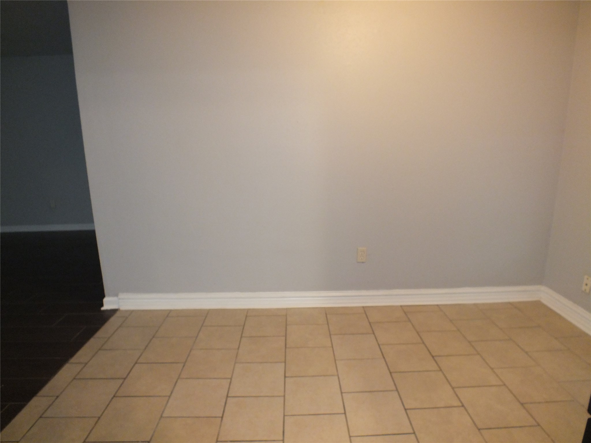 3321 Scotch Moss Lane Property Photo 4