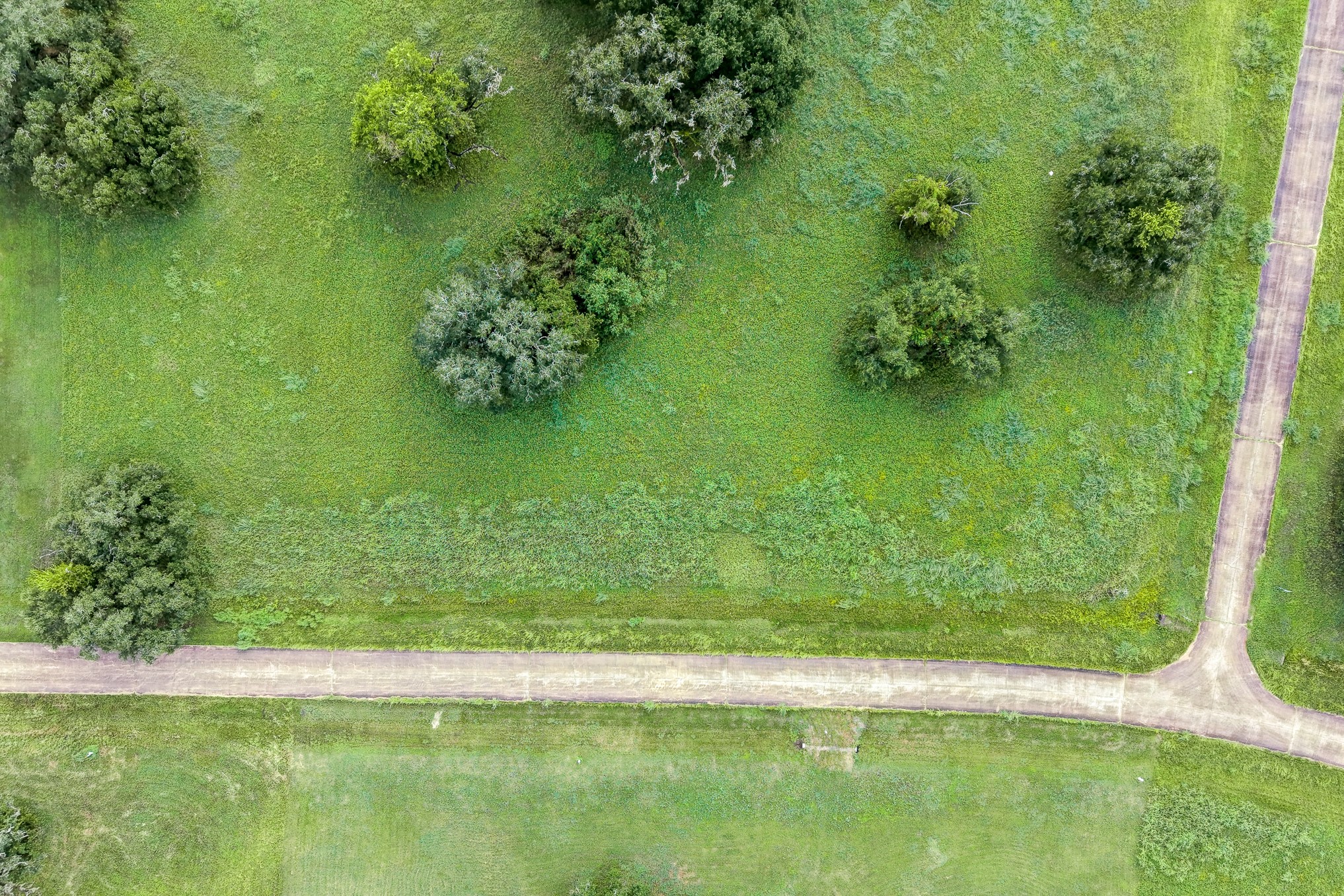 1601 Old Henry Court Property Photo 3