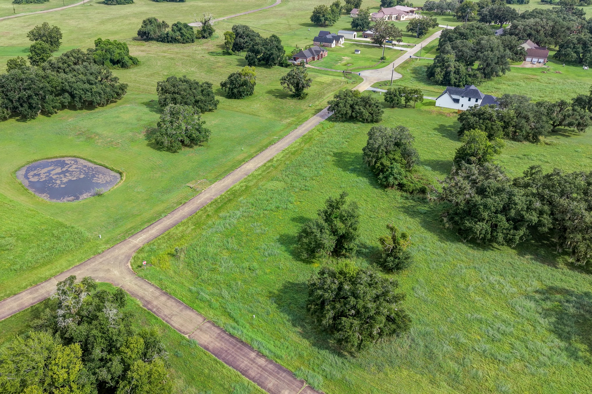 1601 Old Henry Court Property Photo 4