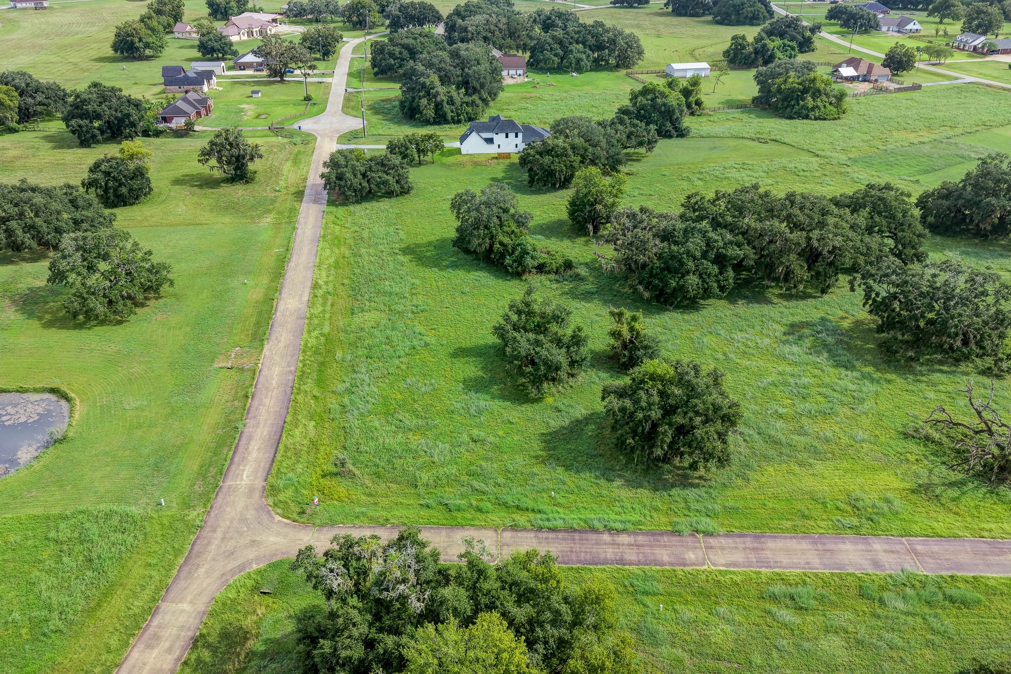 1601 Old Henry Court Property Photo 5