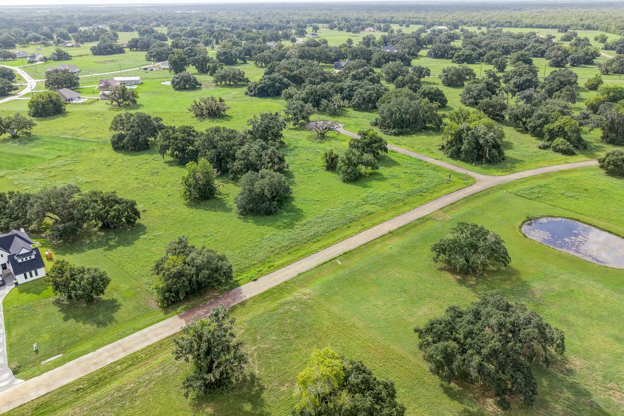 1601 Old Henry Court Property Photo 8