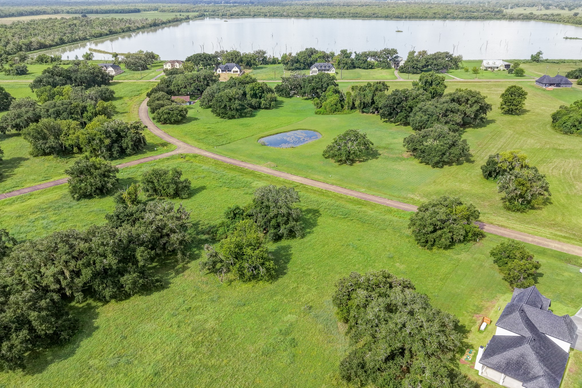 1601 Old Henry Court Property Photo 10
