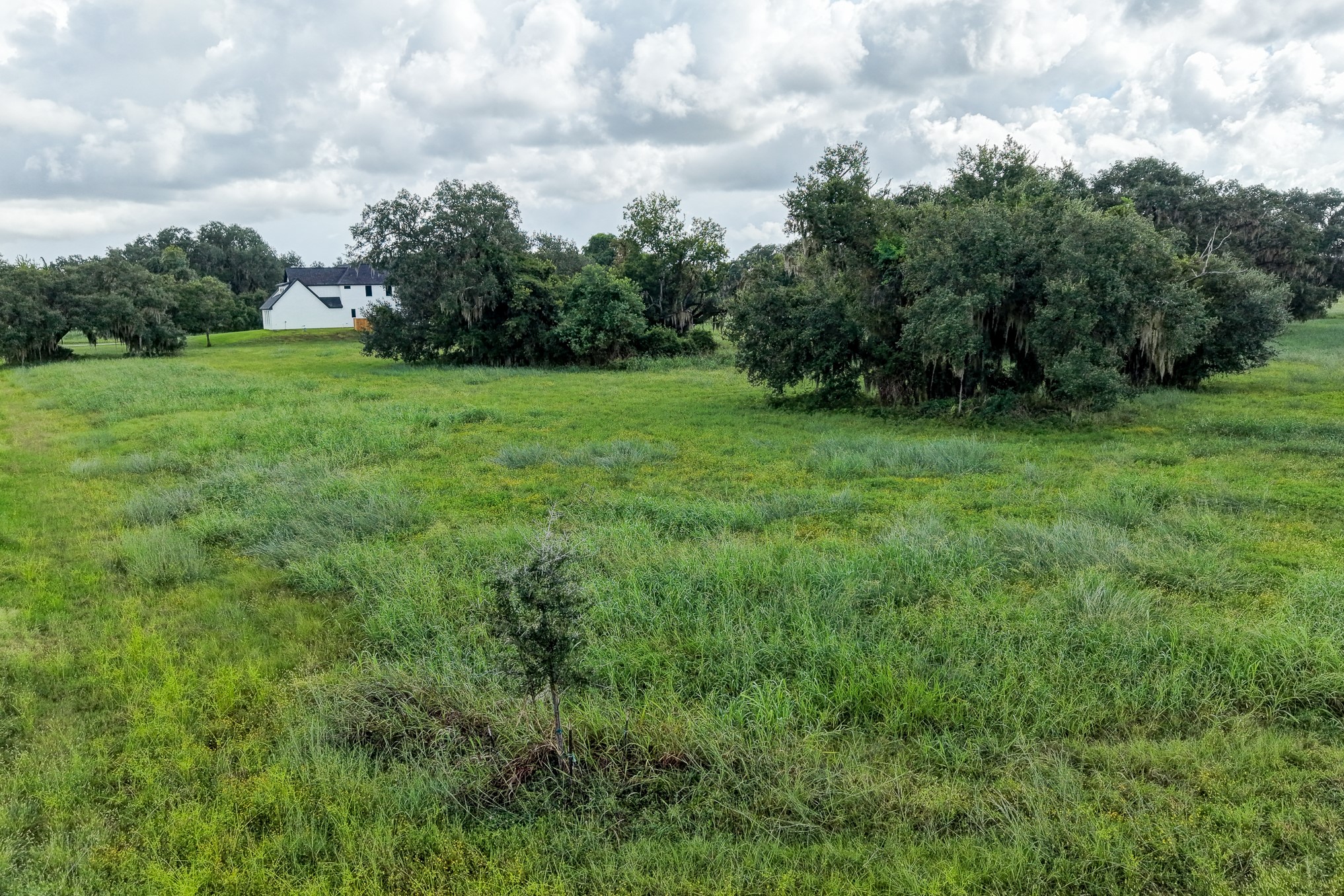 1601 Old Henry Court Property Photo 19