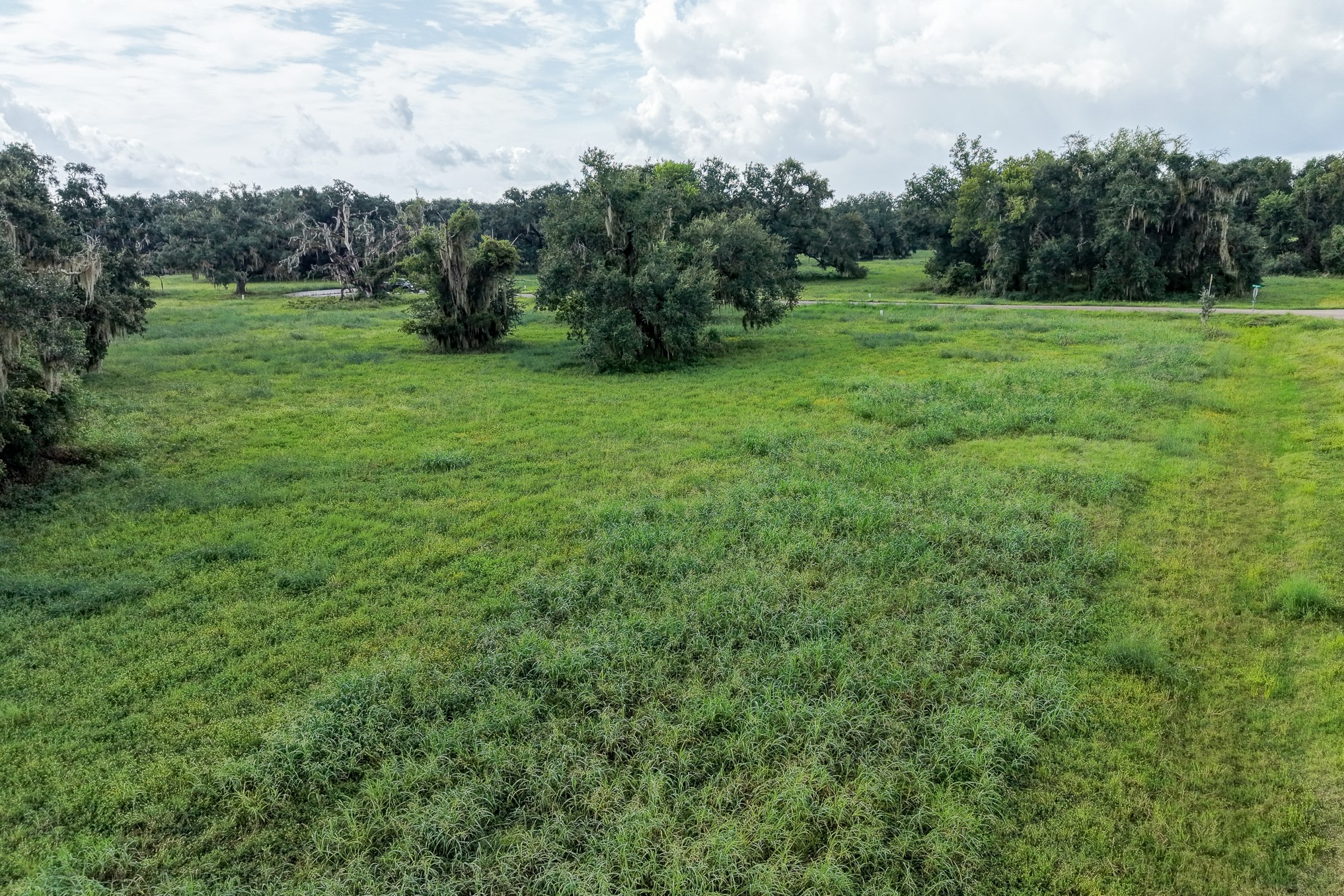 1601 Old Henry Court Property Photo 20