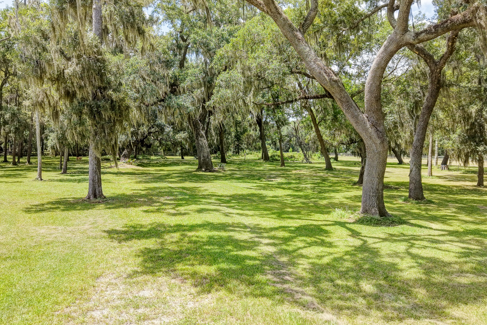 1601 Old Henry Court Property Photo 24