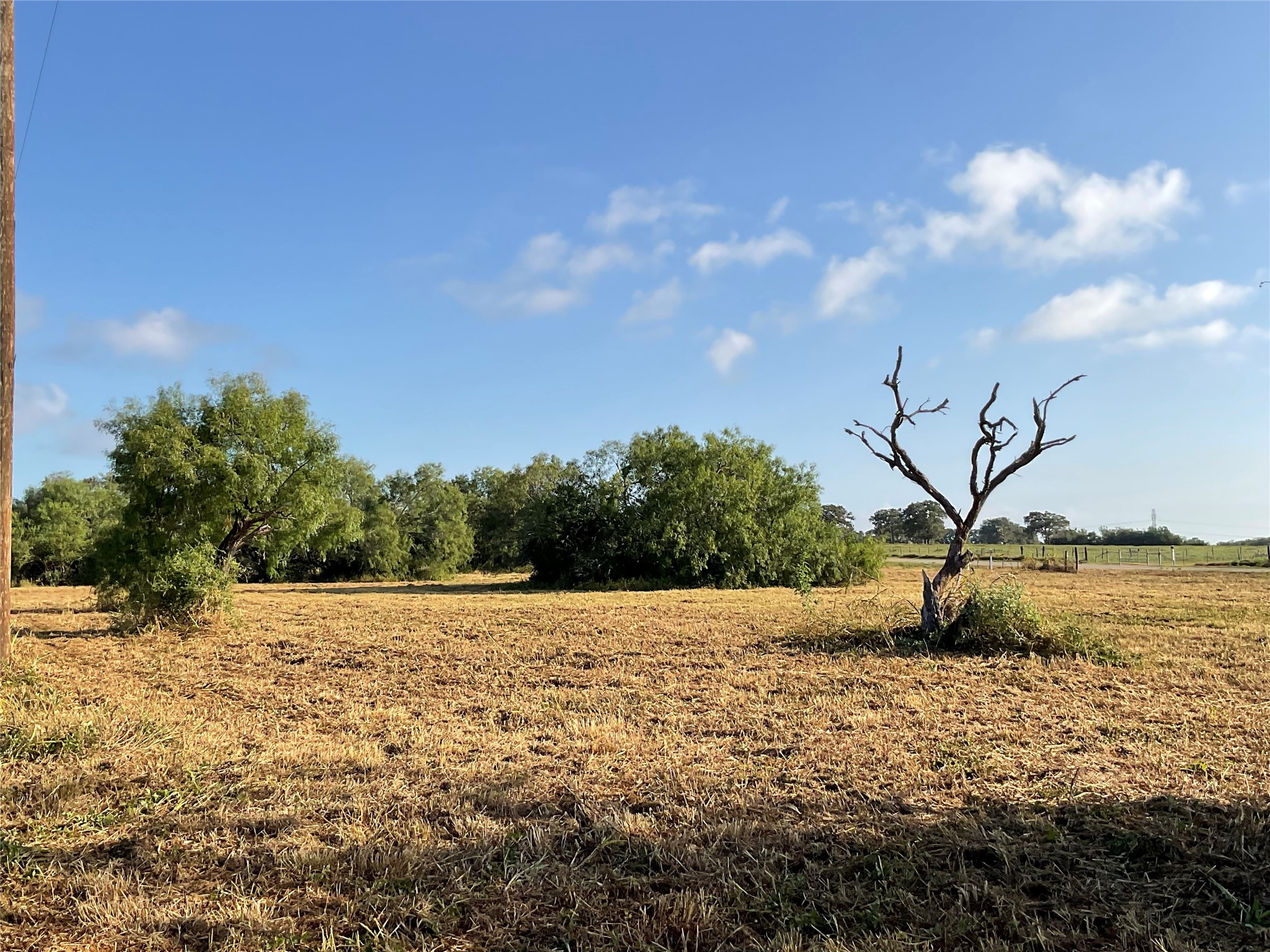 1932 Old Goliad Road Property Photo 1