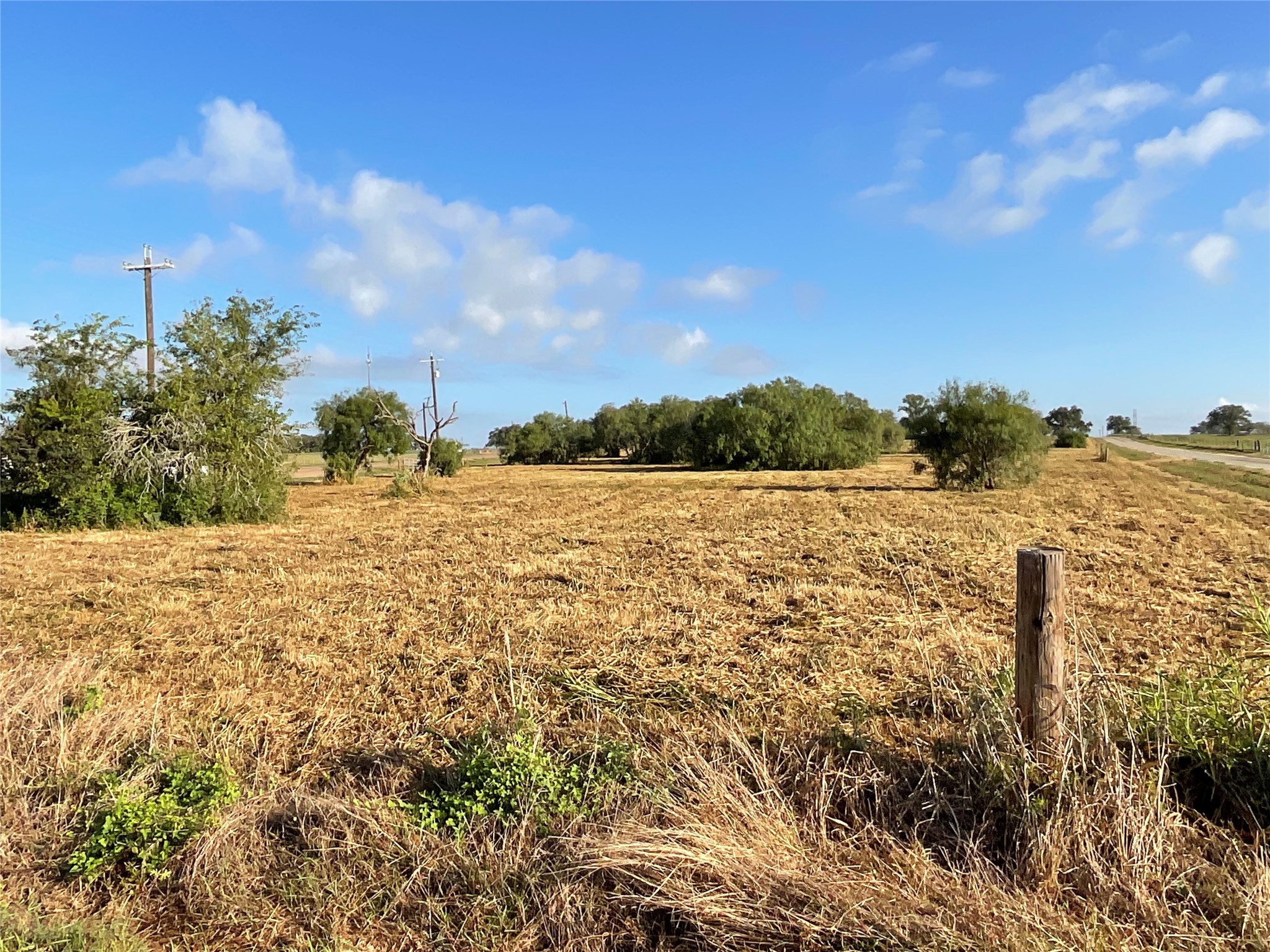 1932 Old Goliad Road Property Photo 3