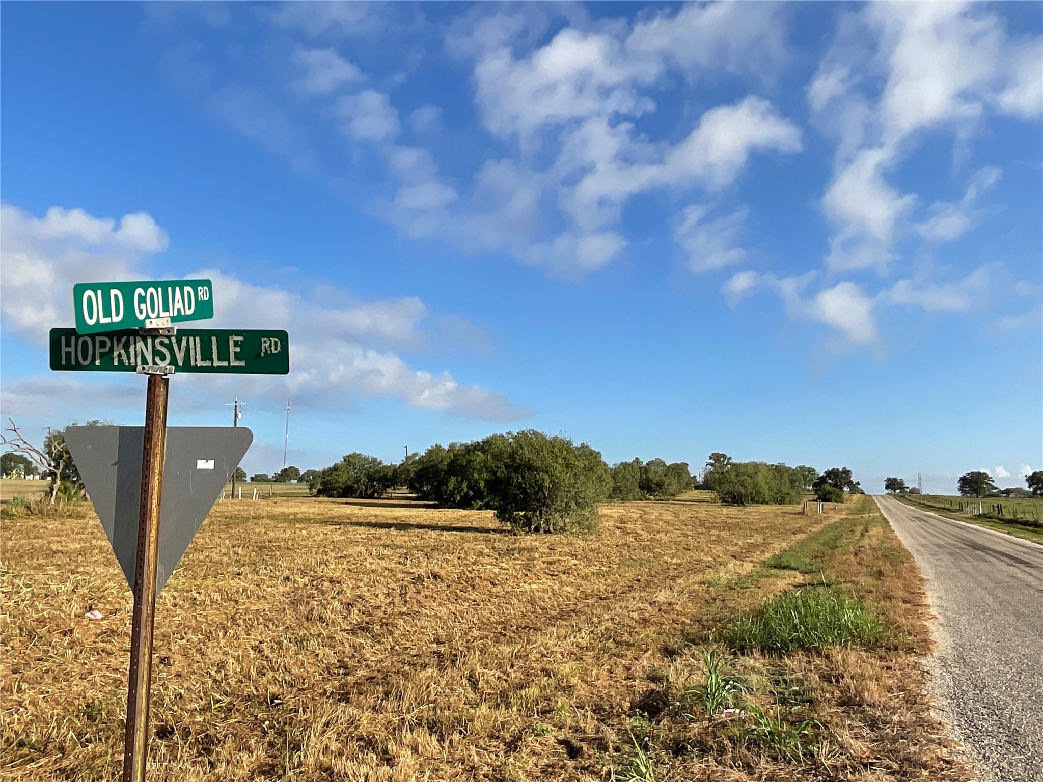 1932 Old Goliad Road Property Photo 4