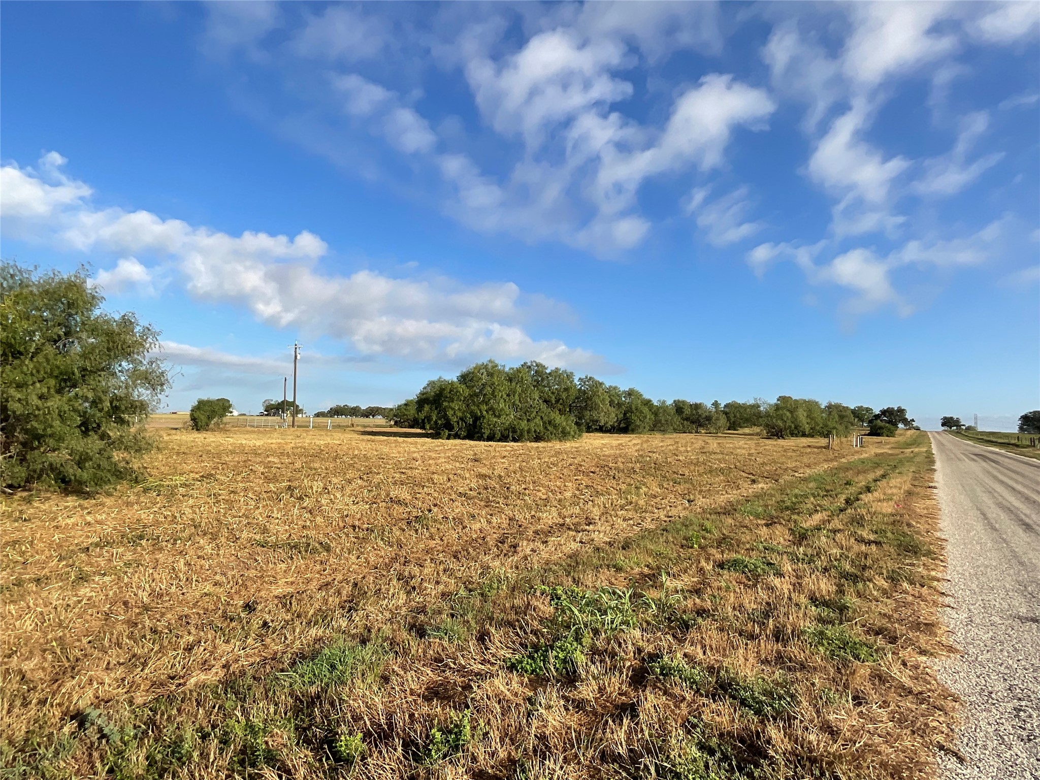 1932 Old Goliad Road Property Photo 5