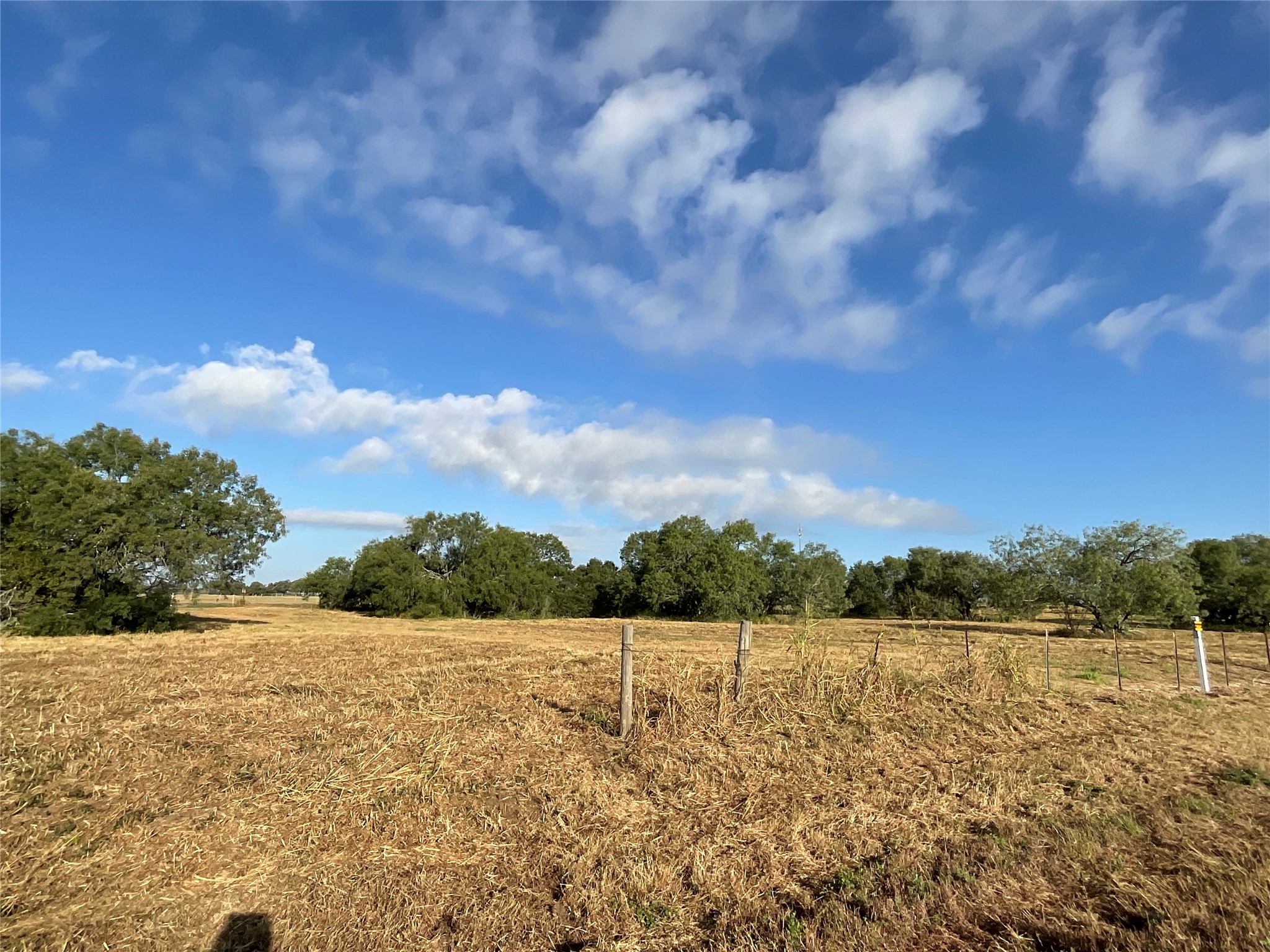 1932 Old Goliad Road Property Photo 6