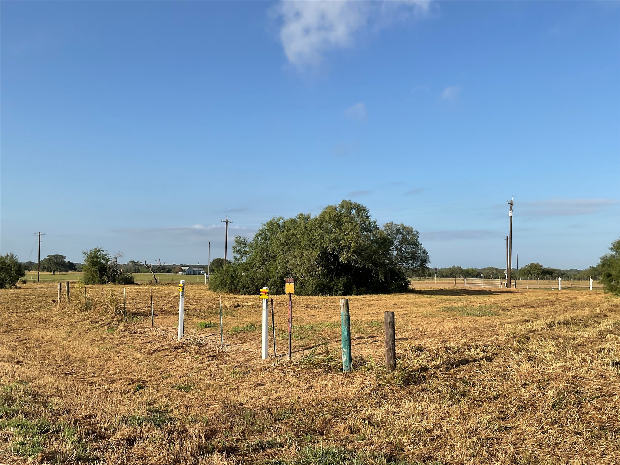 1932 Old Goliad Road Property Photo 7