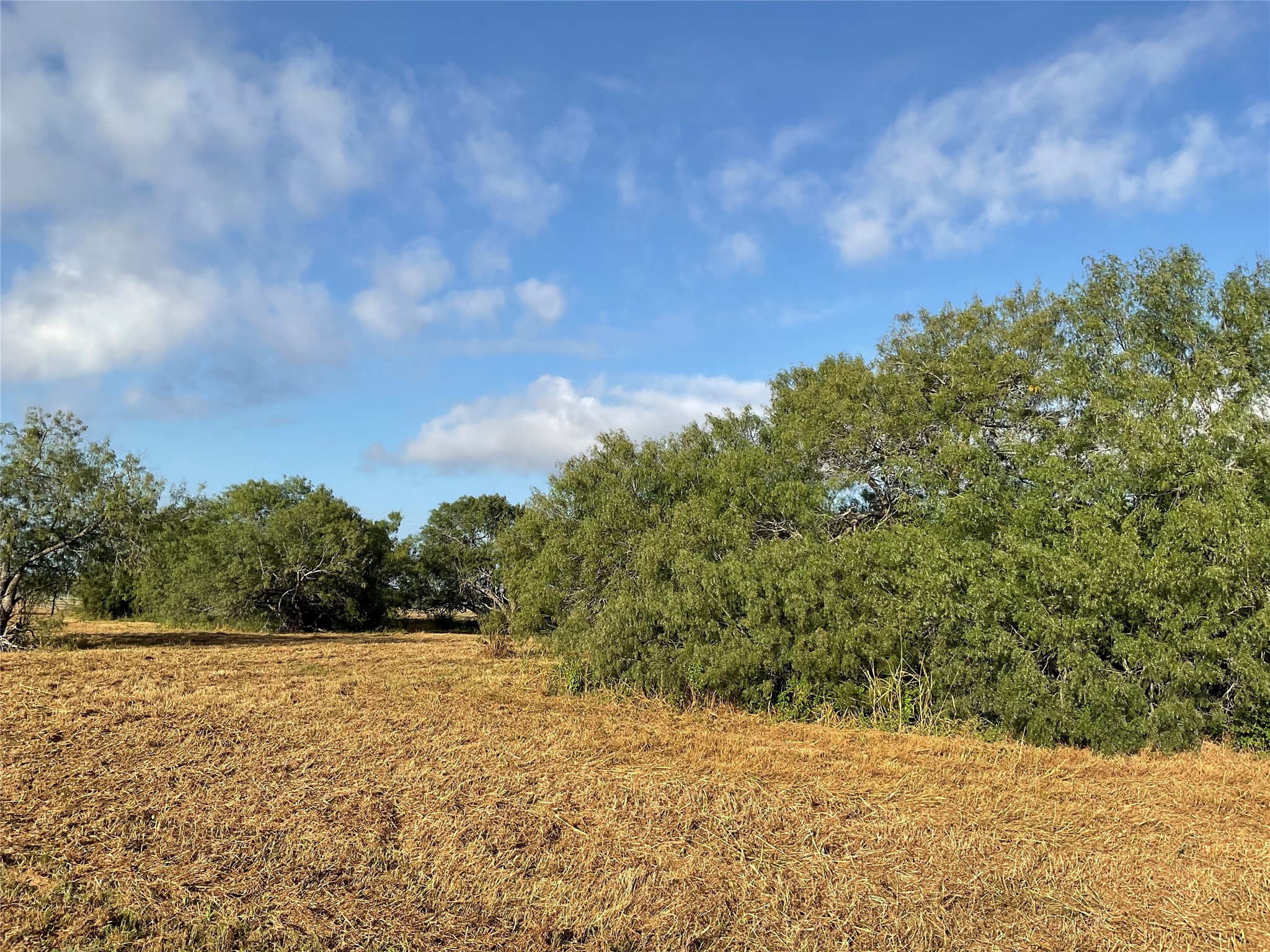 1932 Old Goliad Road Property Photo 10