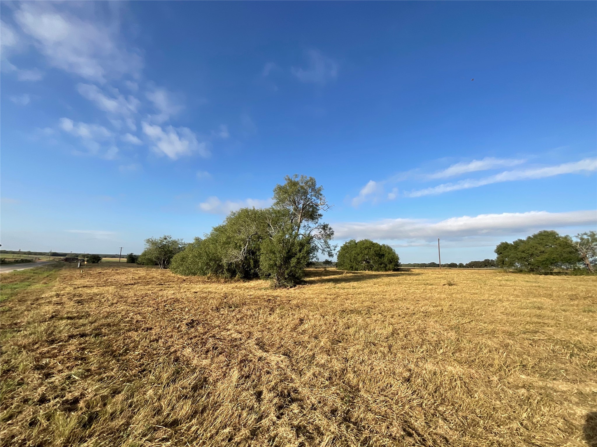 1932 Old Goliad Road Property Photo 15