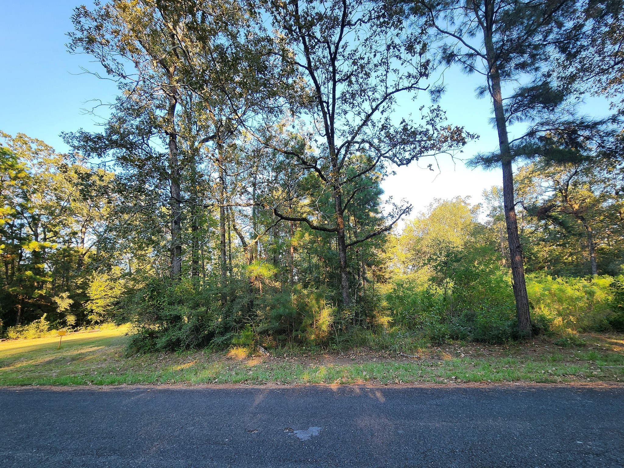 0 Hackberry Drive Property Photo 1