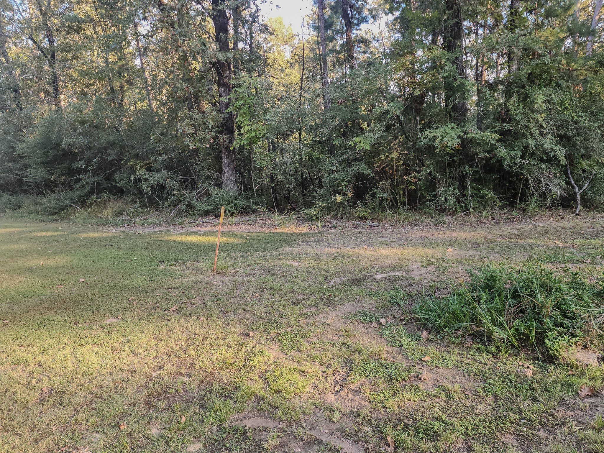 0 Hackberry Drive Property Photo 2