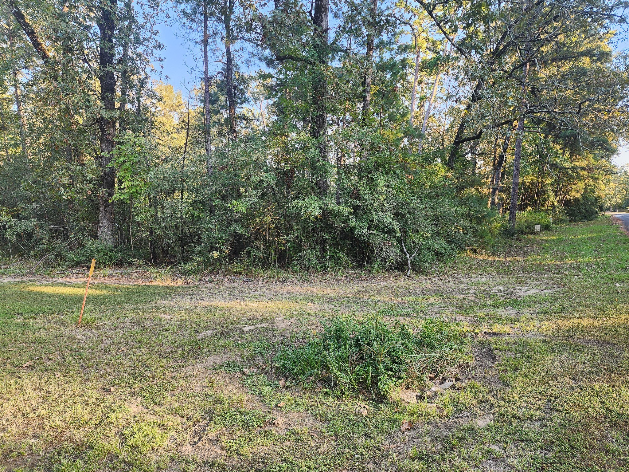 0 Hackberry Drive Property Photo 3