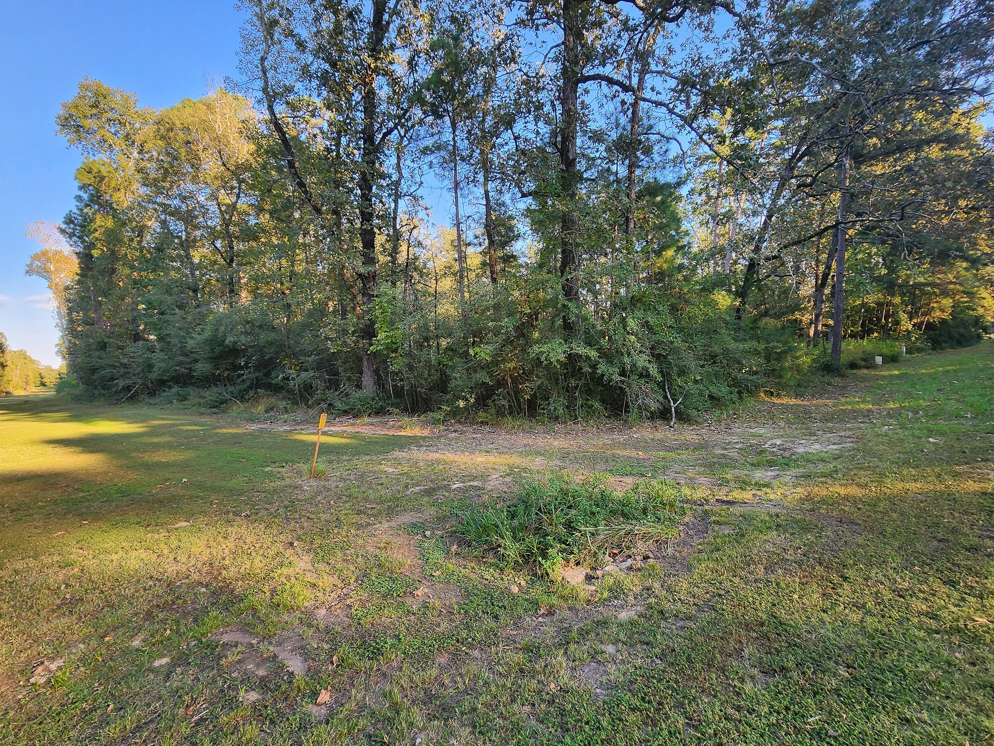 0 Hackberry Drive Property Photo 4