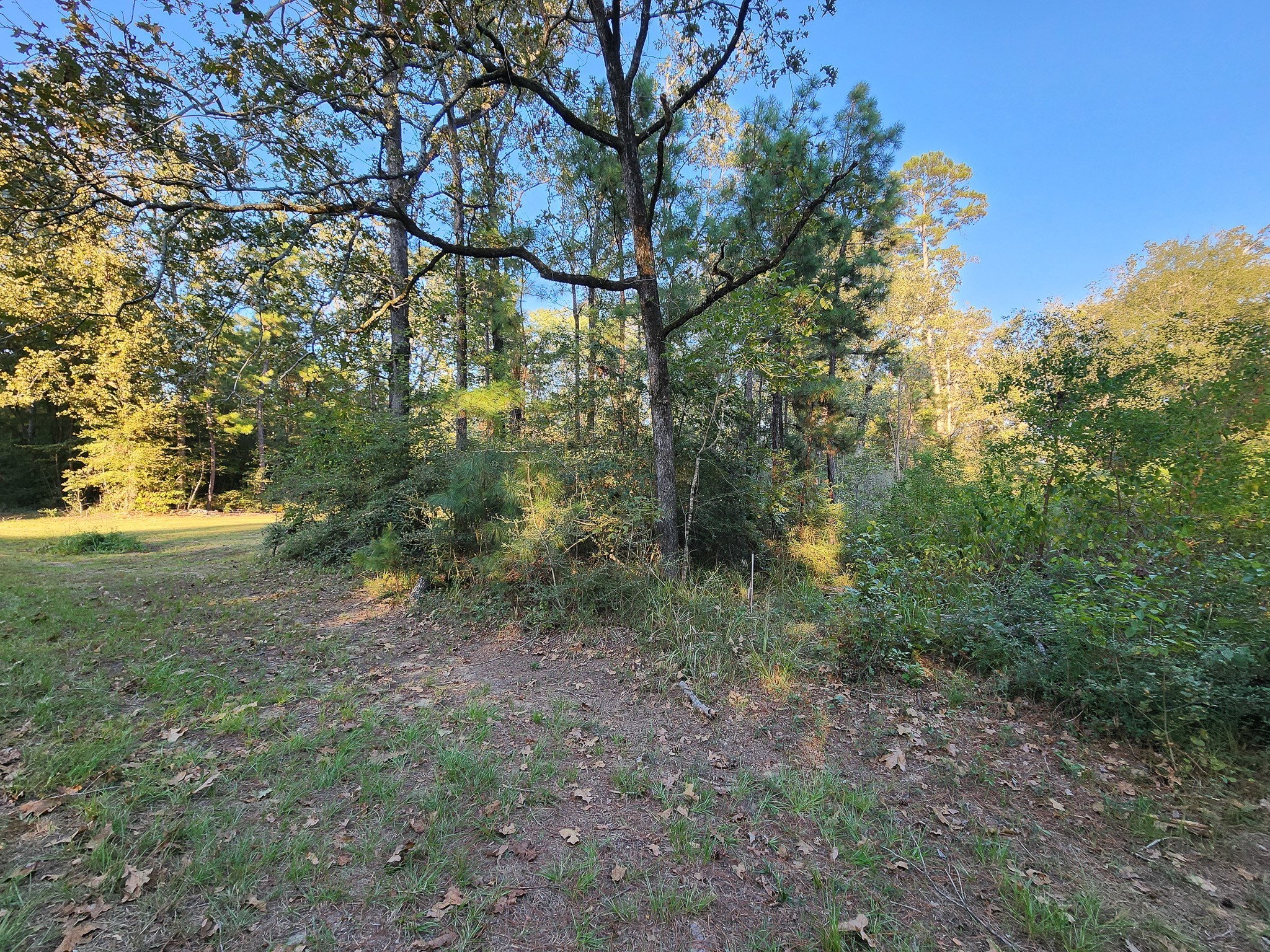 0 Hackberry Drive Property Photo 5