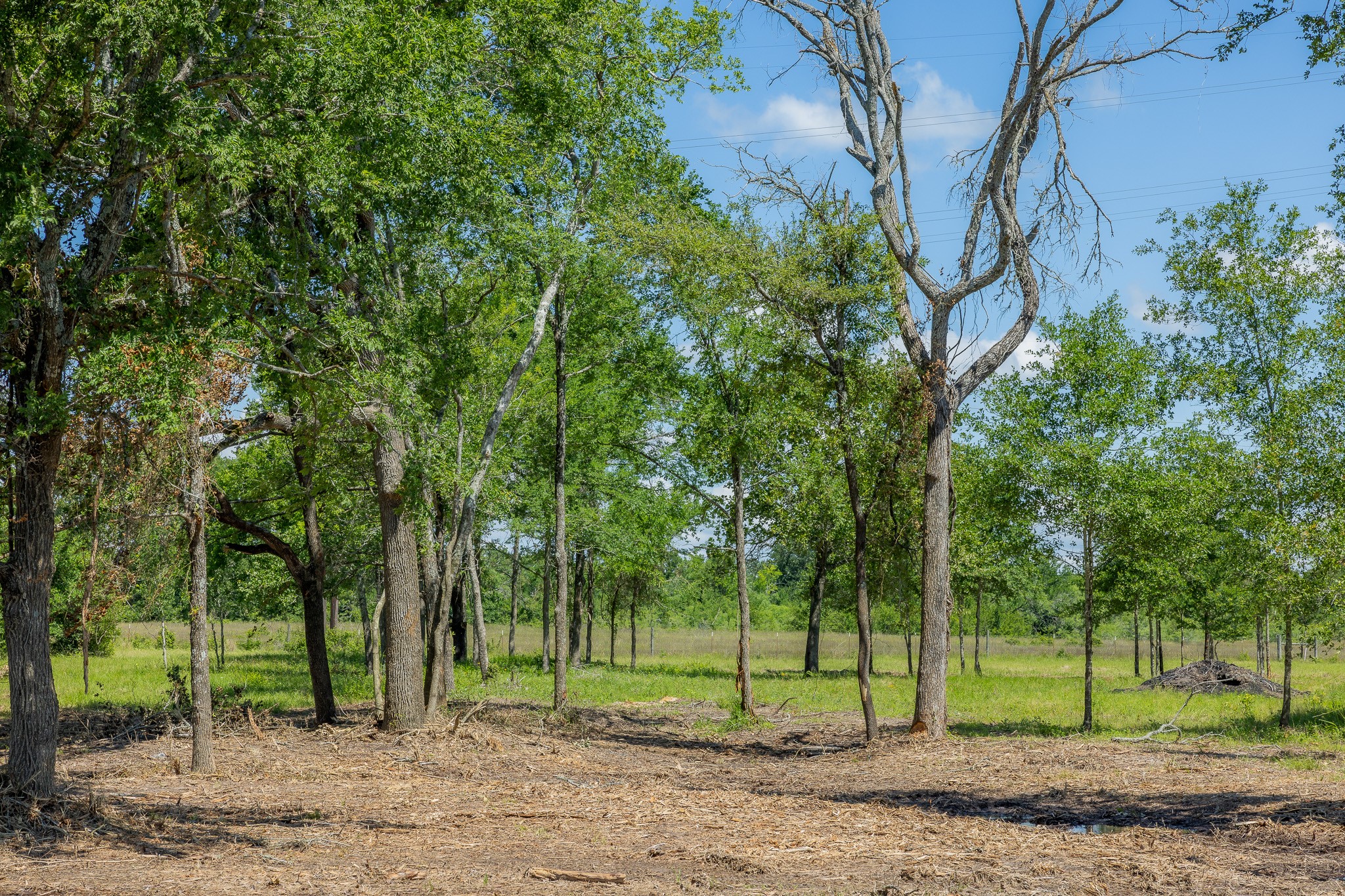 6575 Atakapan Trail Property Photo 1