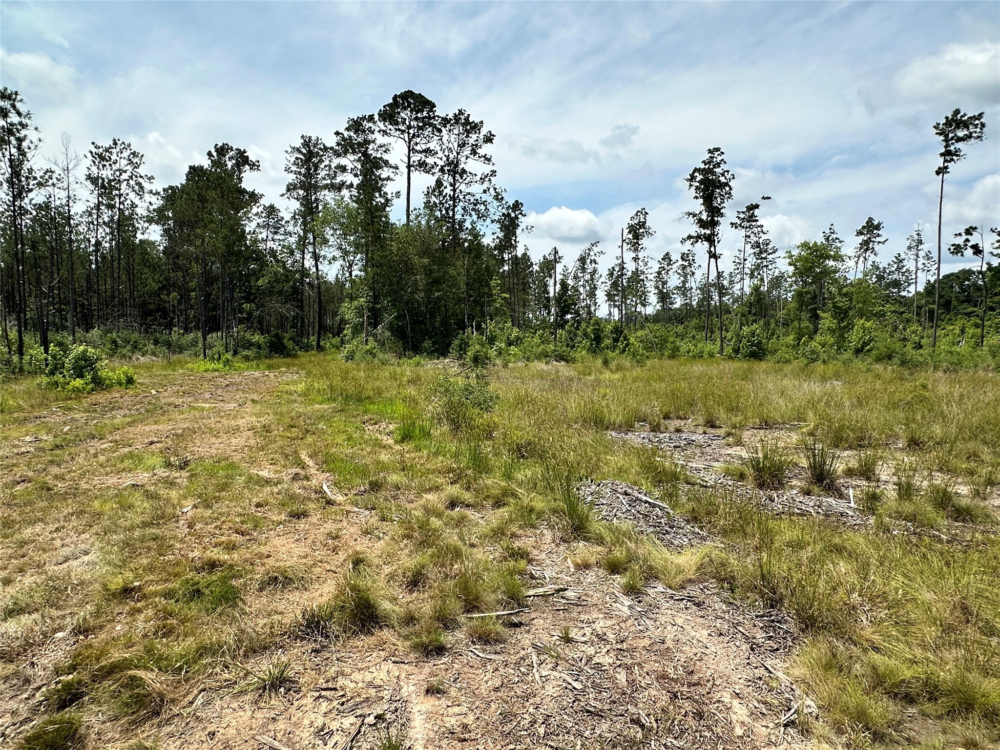 5909 Texas Pines Ln Property Photo 10