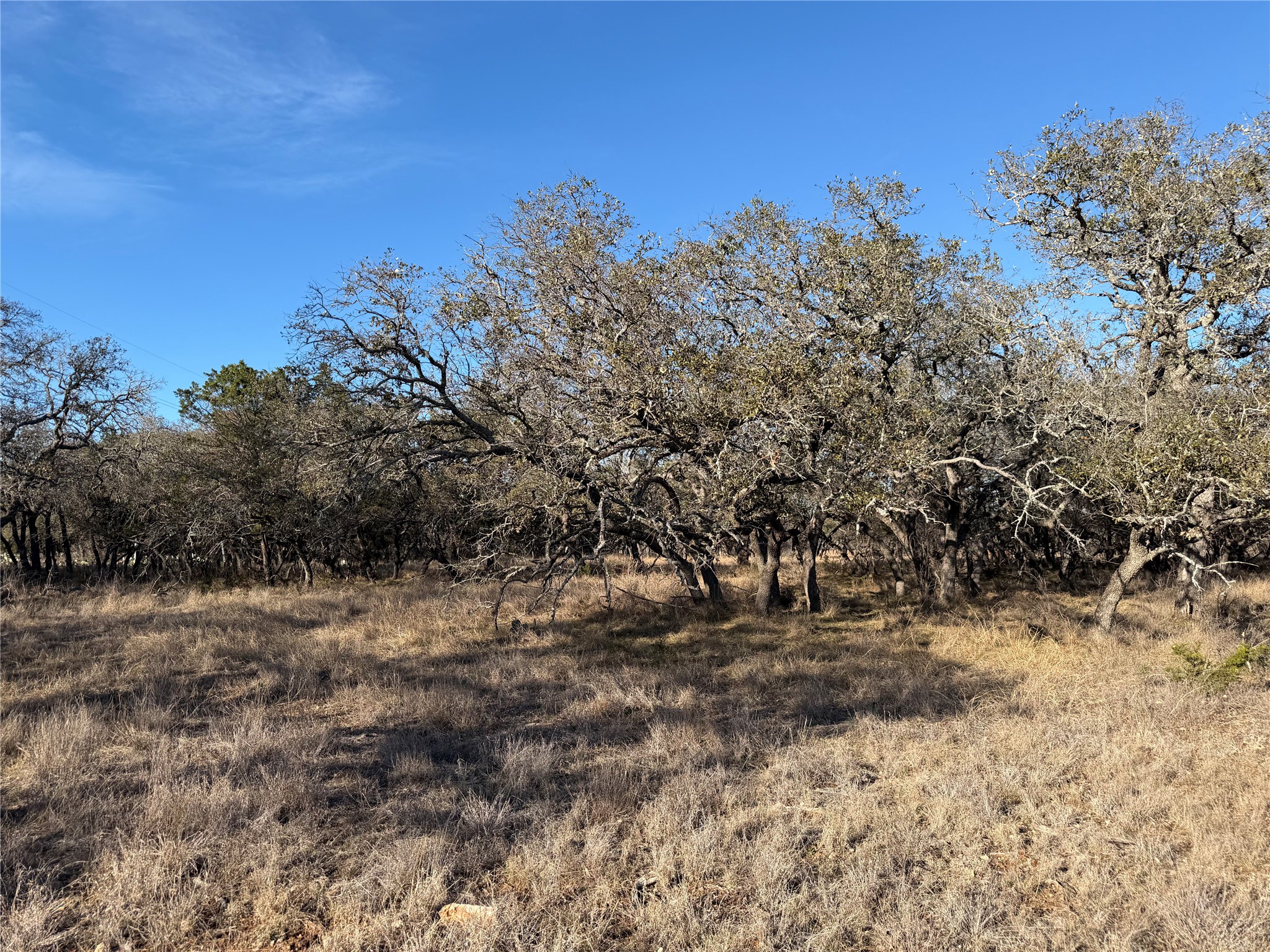 Lot 67 464 Ranch Property Photo 6