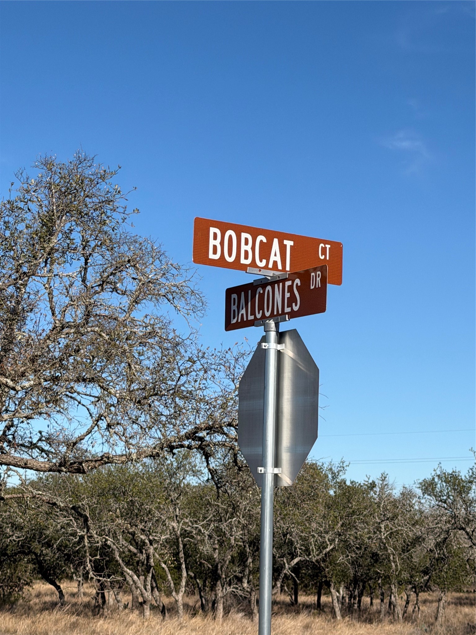 Lot 67 464 Ranch Property Photo 8