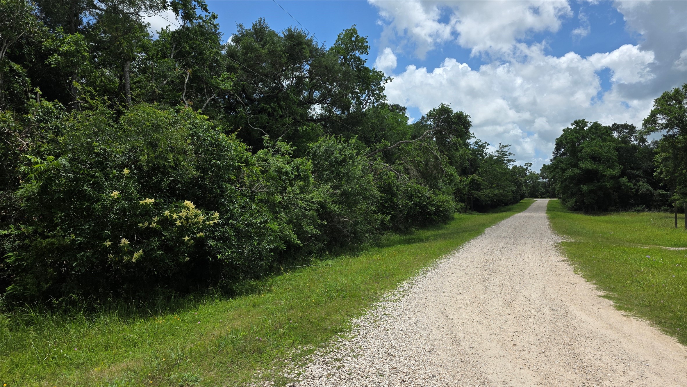 Tbd. County Road 825 Property Photo 1