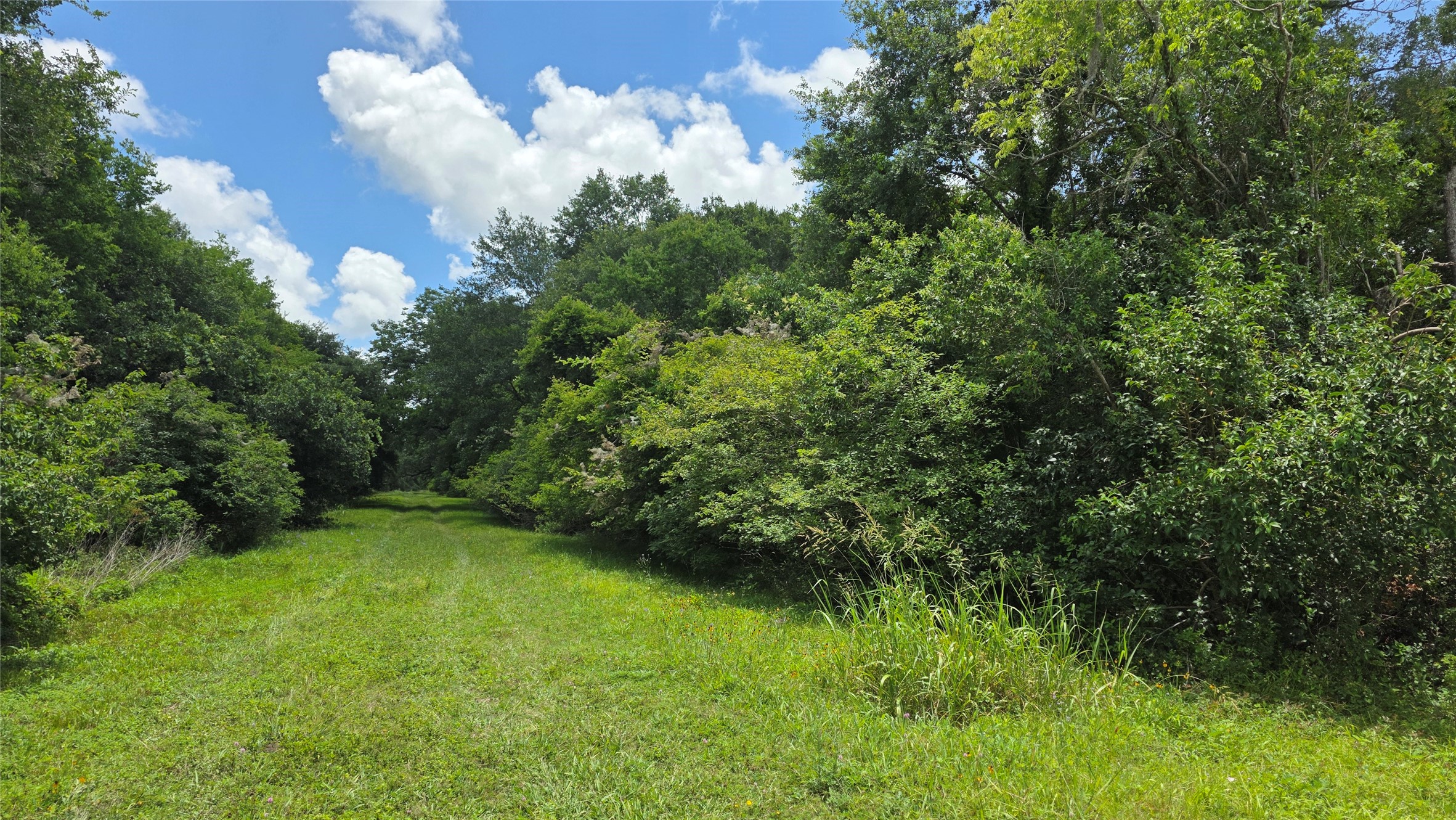 Tbd. County Road 825 Property Photo 2