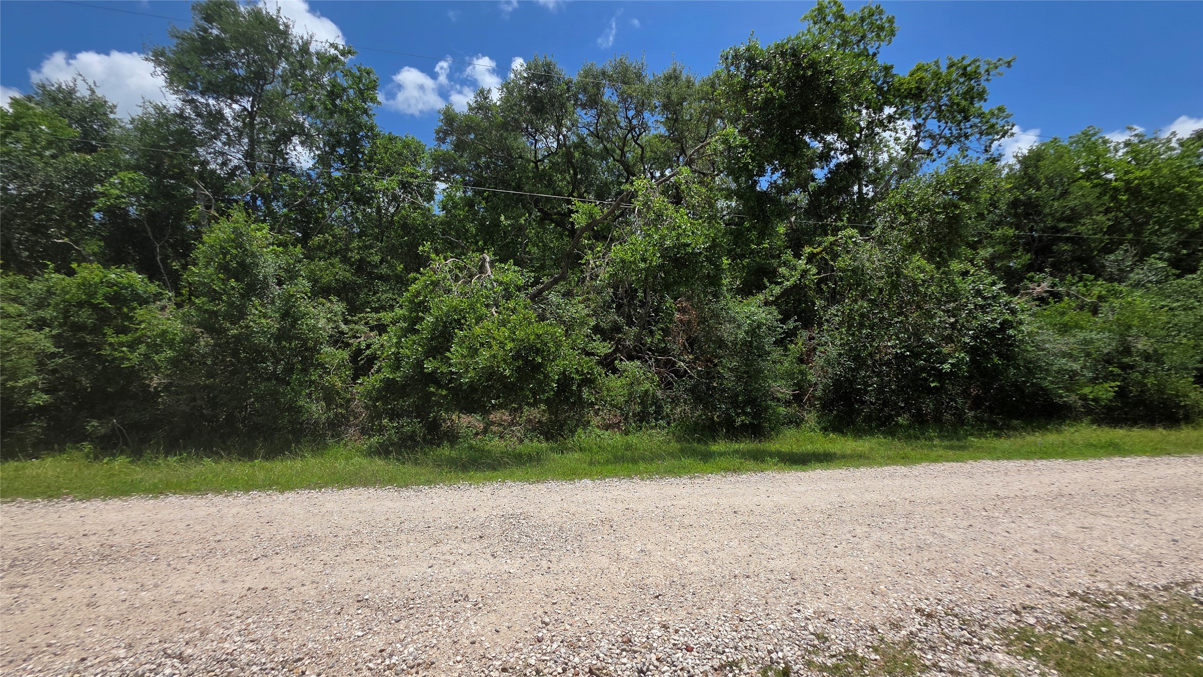 Tbd. County Road 825 Property Photo 3