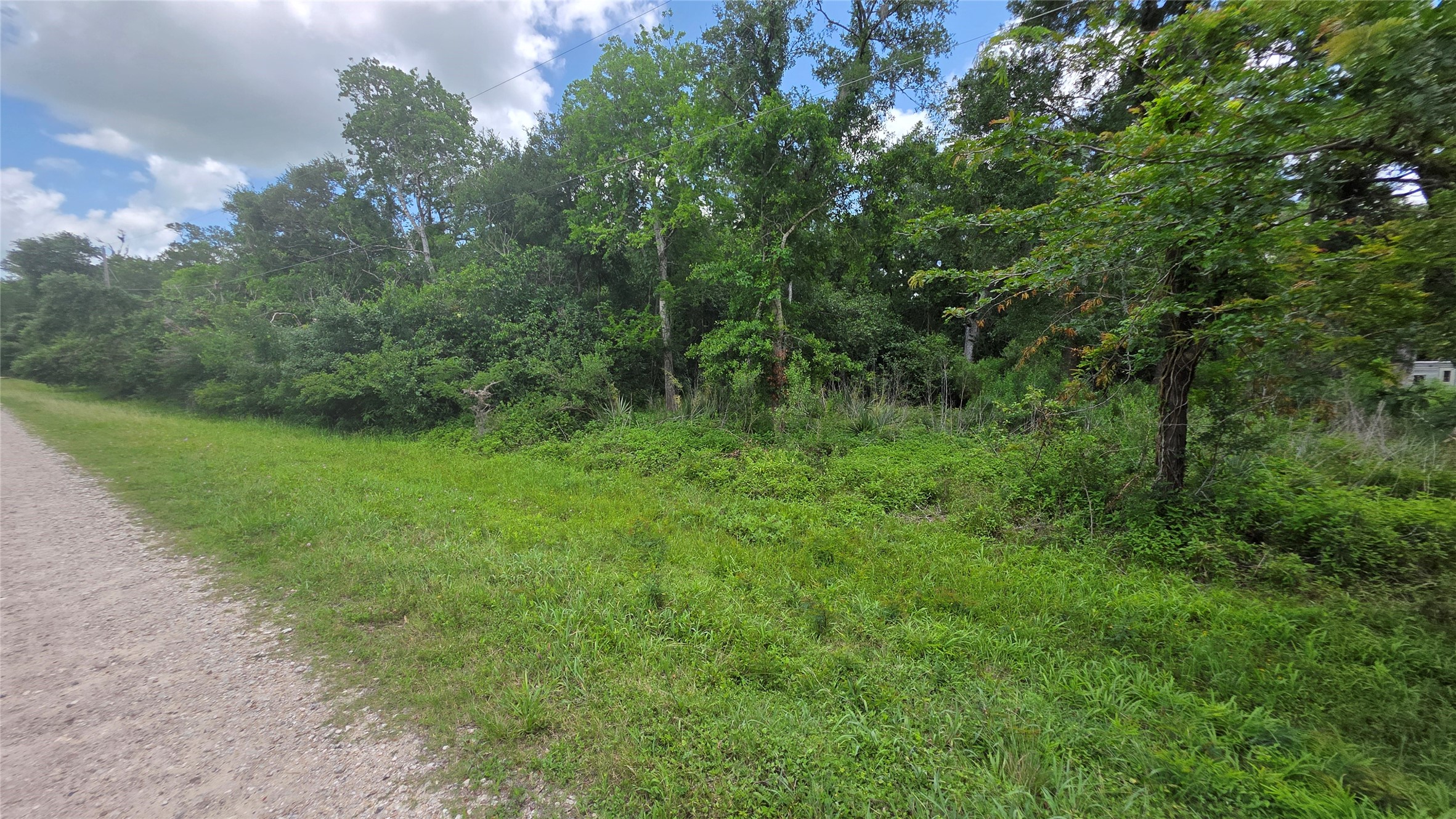 Tbd. County Road 825 Property Photo 5