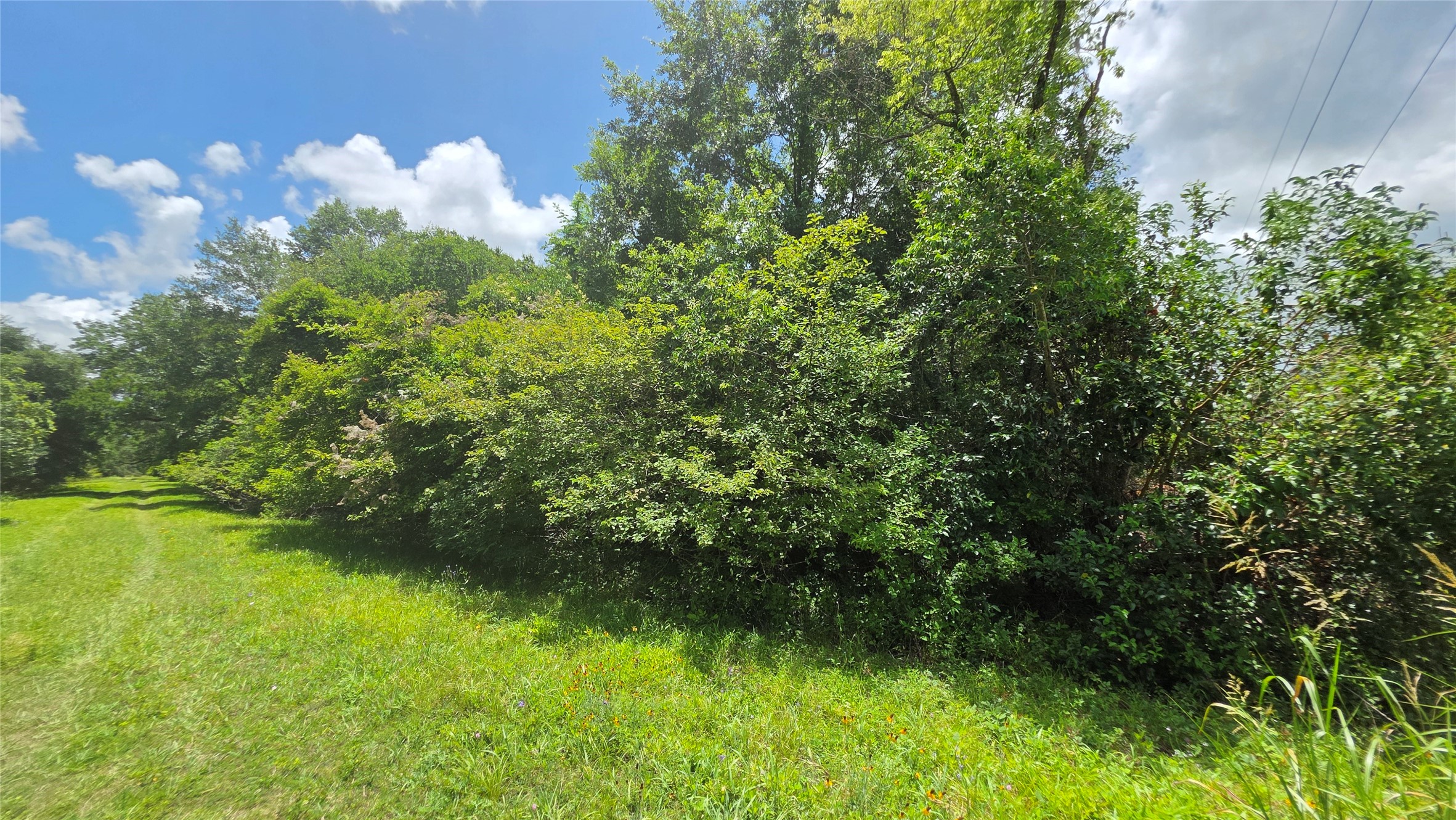 Tbd. County Road 825 Property Photo 6