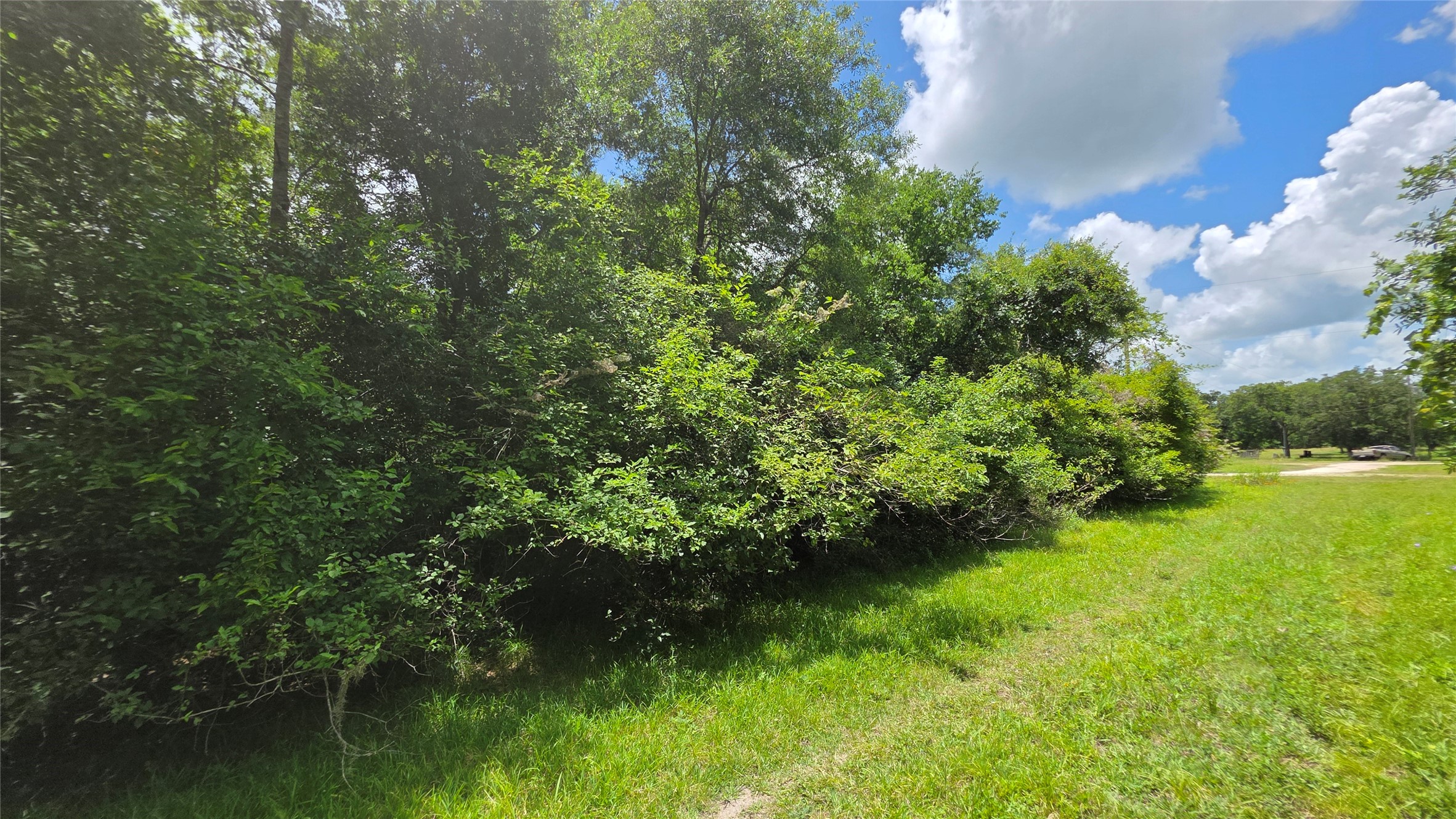 Tbd. County Road 825 Property Photo 7