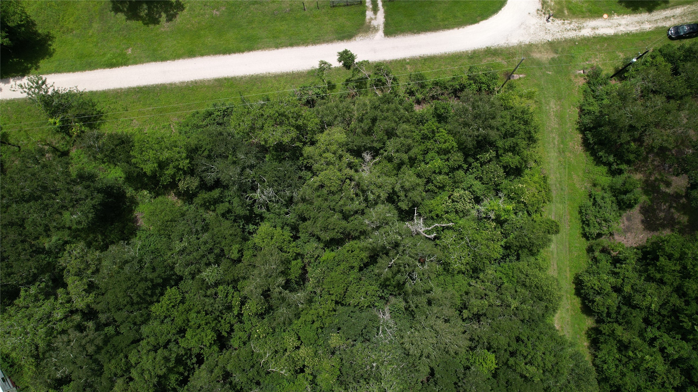 Tbd. County Road 825 Property Photo 13