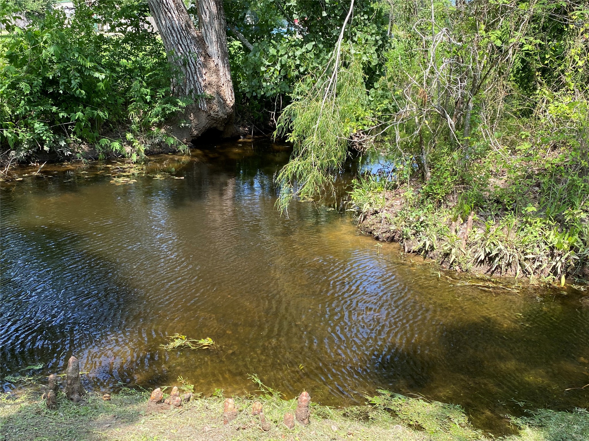 2609 Hughes Road Property Photo 4