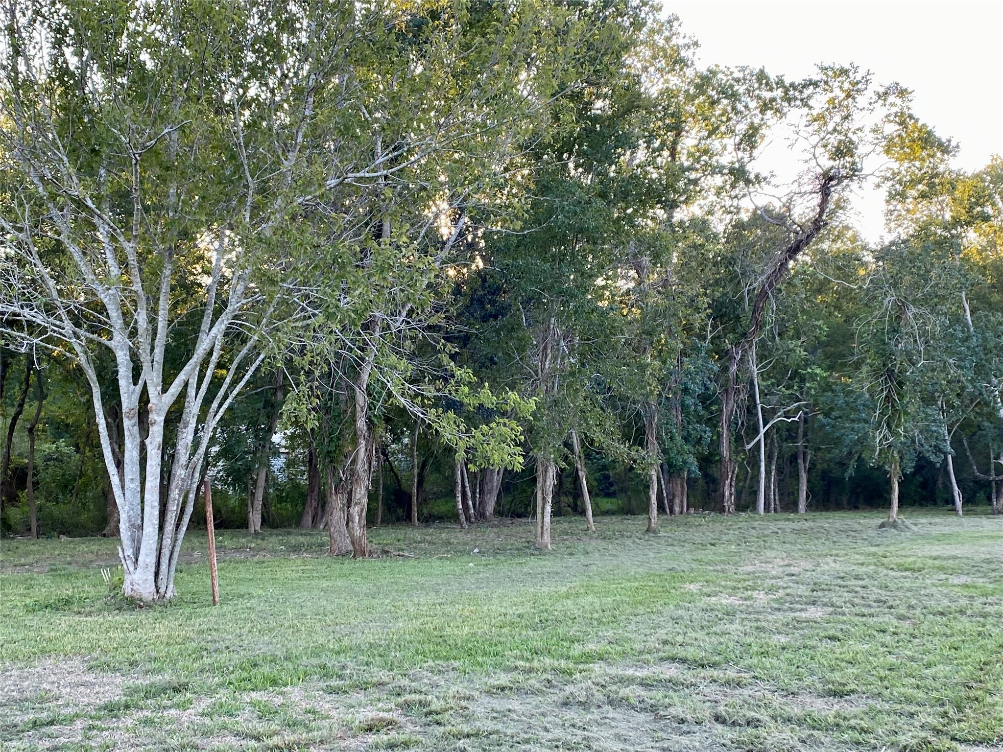 2609 Hughes Road Property Photo 10
