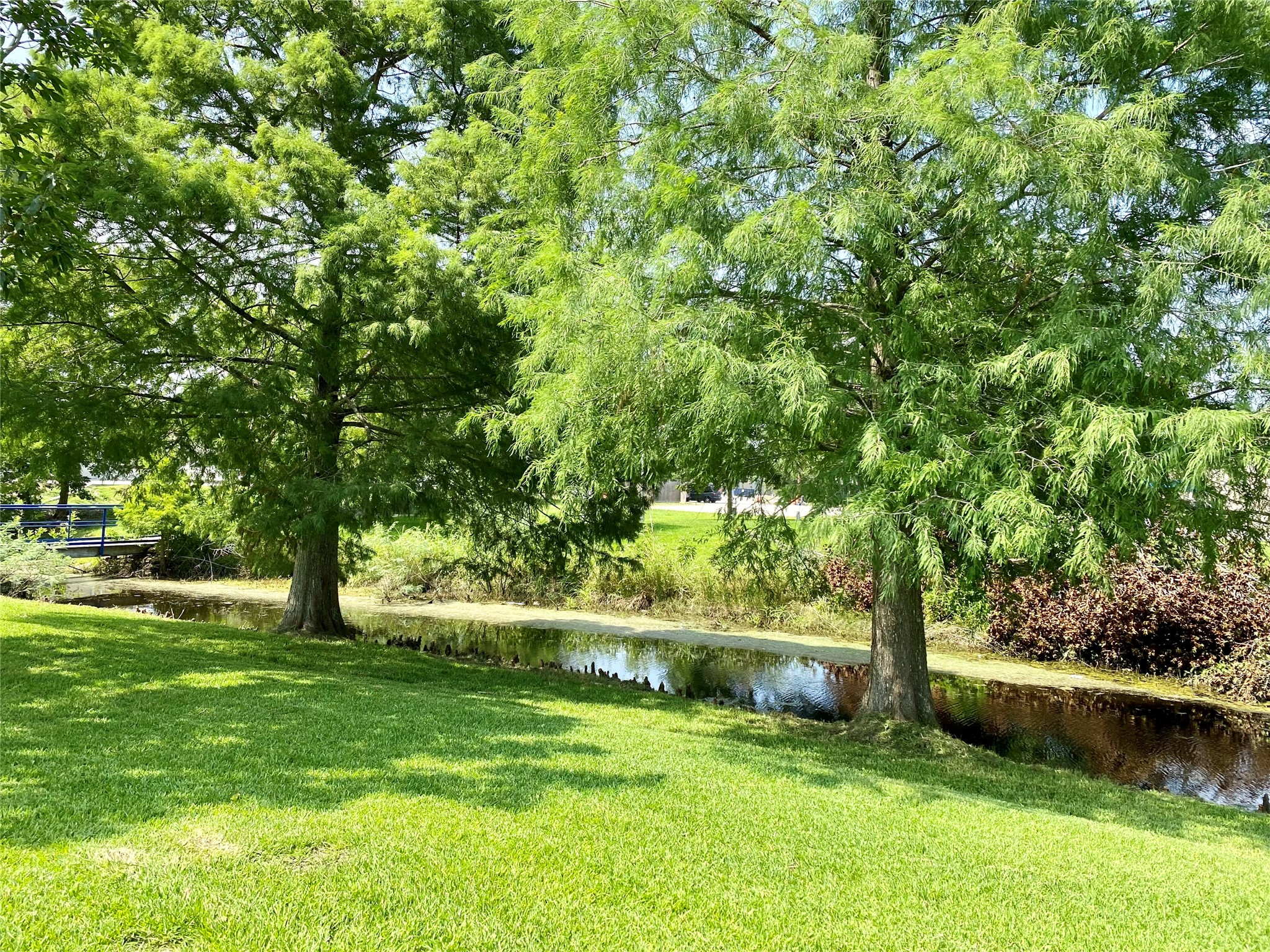 2609 Hughes Road Property Photo 13