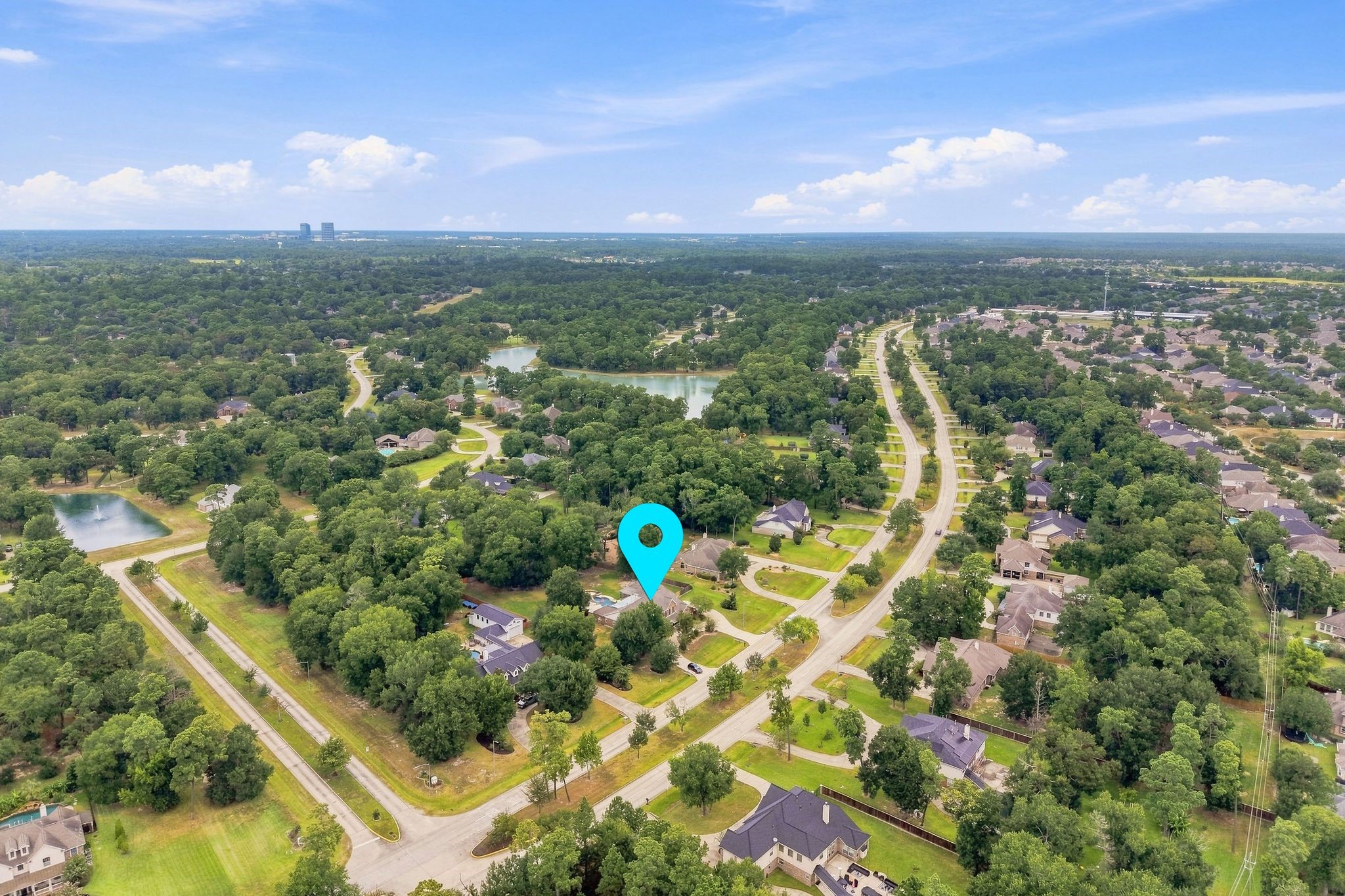 30307 Aldine Westfield Road Property Photo 46