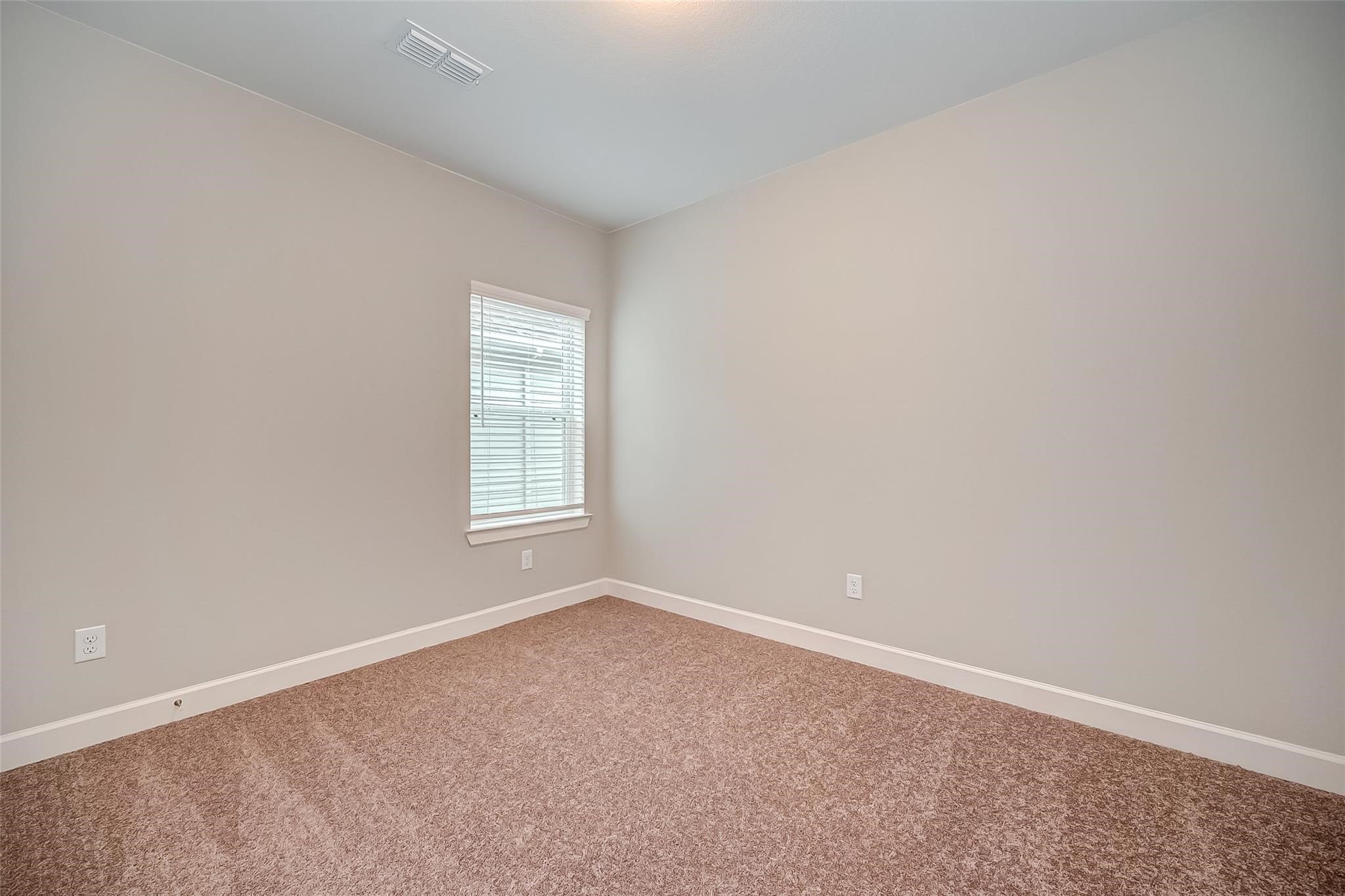 10738 Bridgeport Path Court Property Photo 23