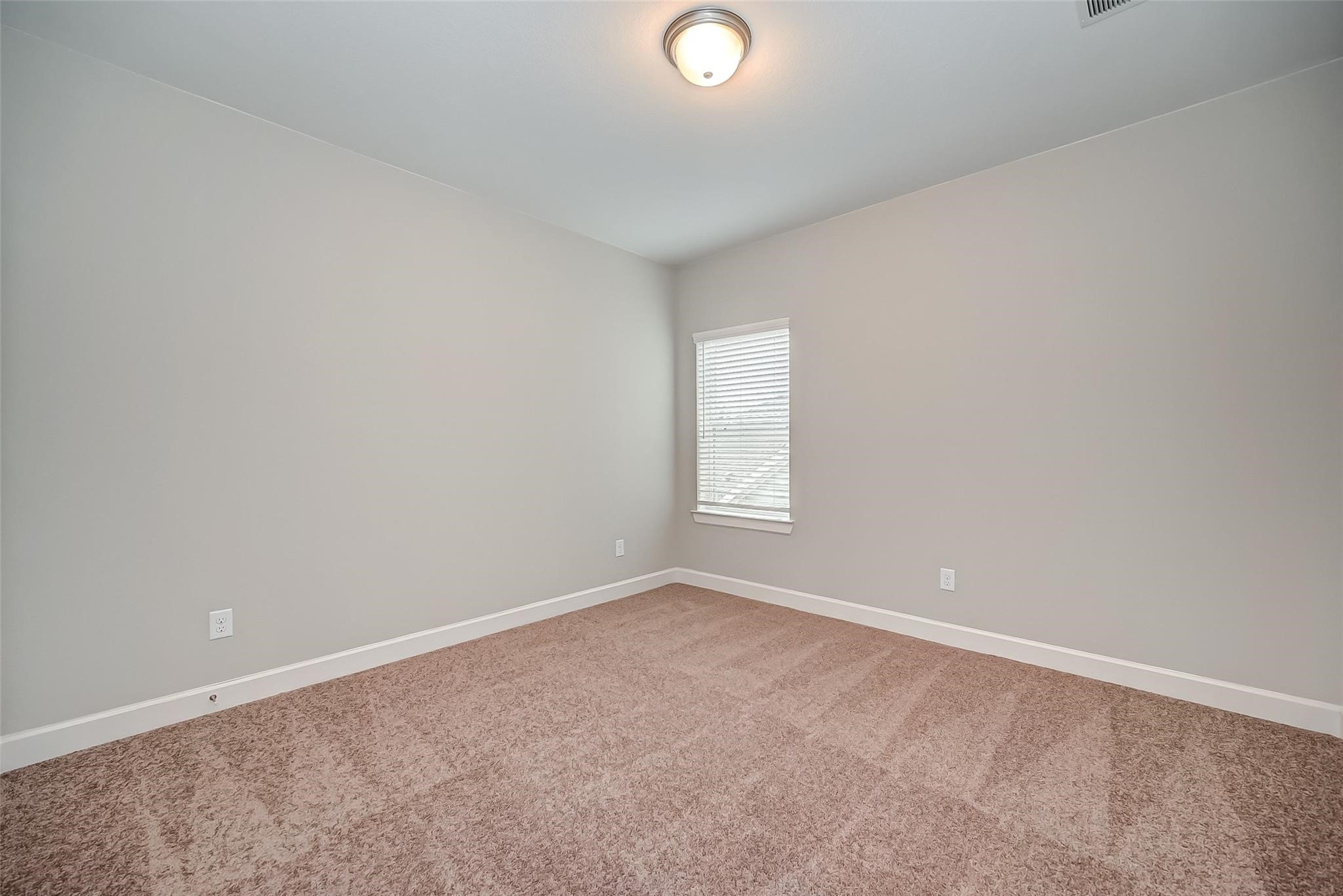 10738 Bridgeport Path Court Property Photo 26