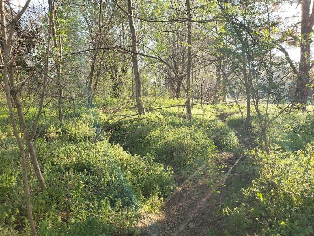 0 Longmire Road Property Photo 3