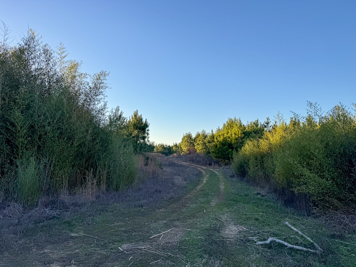 T-4 Cr 4415 Property Photo 8