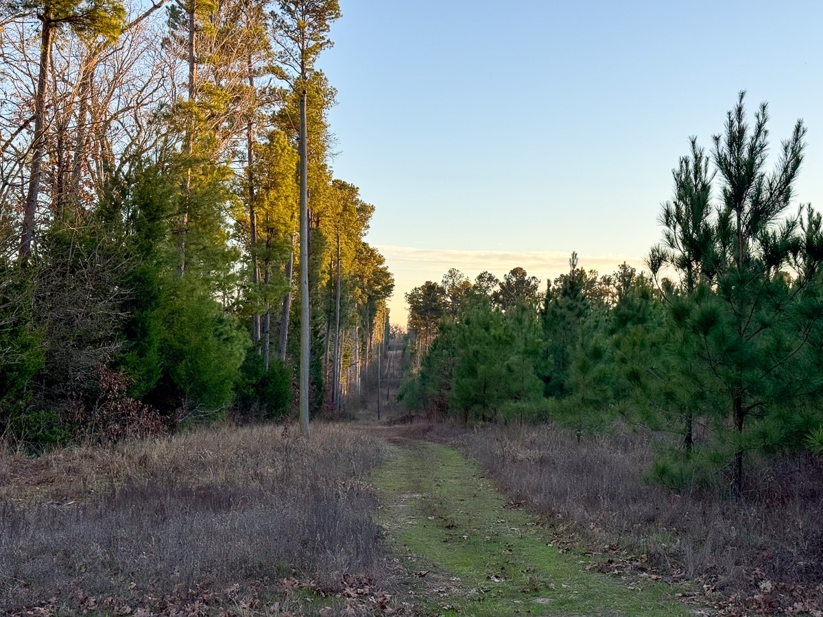 T-4 Cr 4415 Property Photo 22