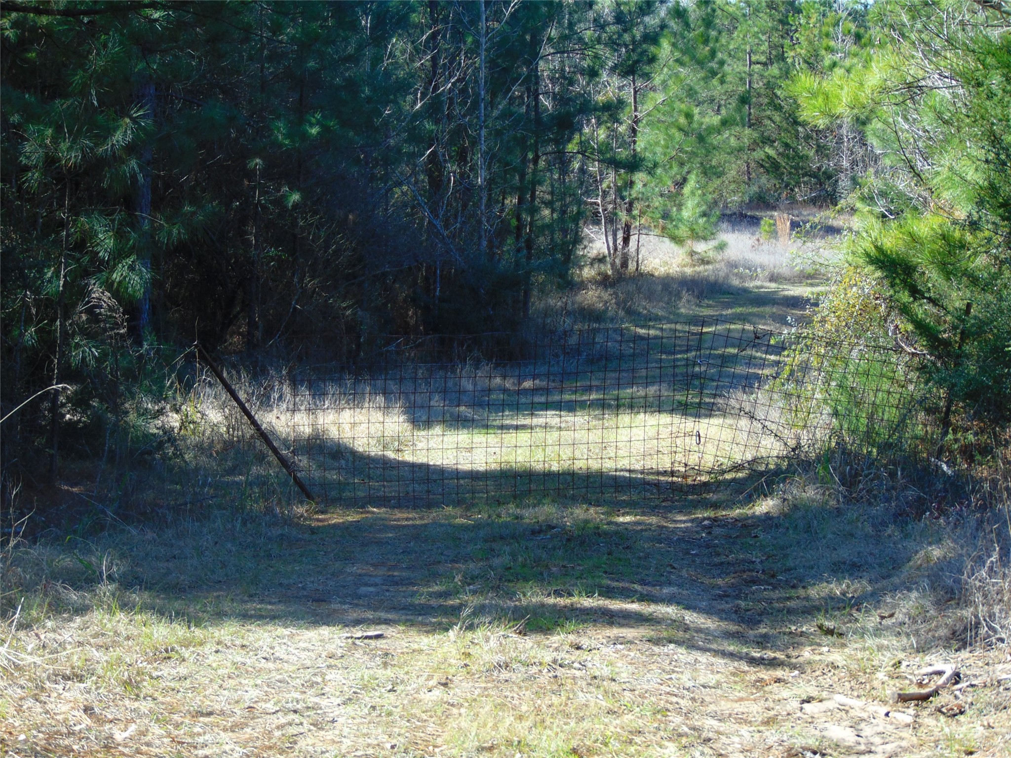 00 Cr 403 Property Photo 1