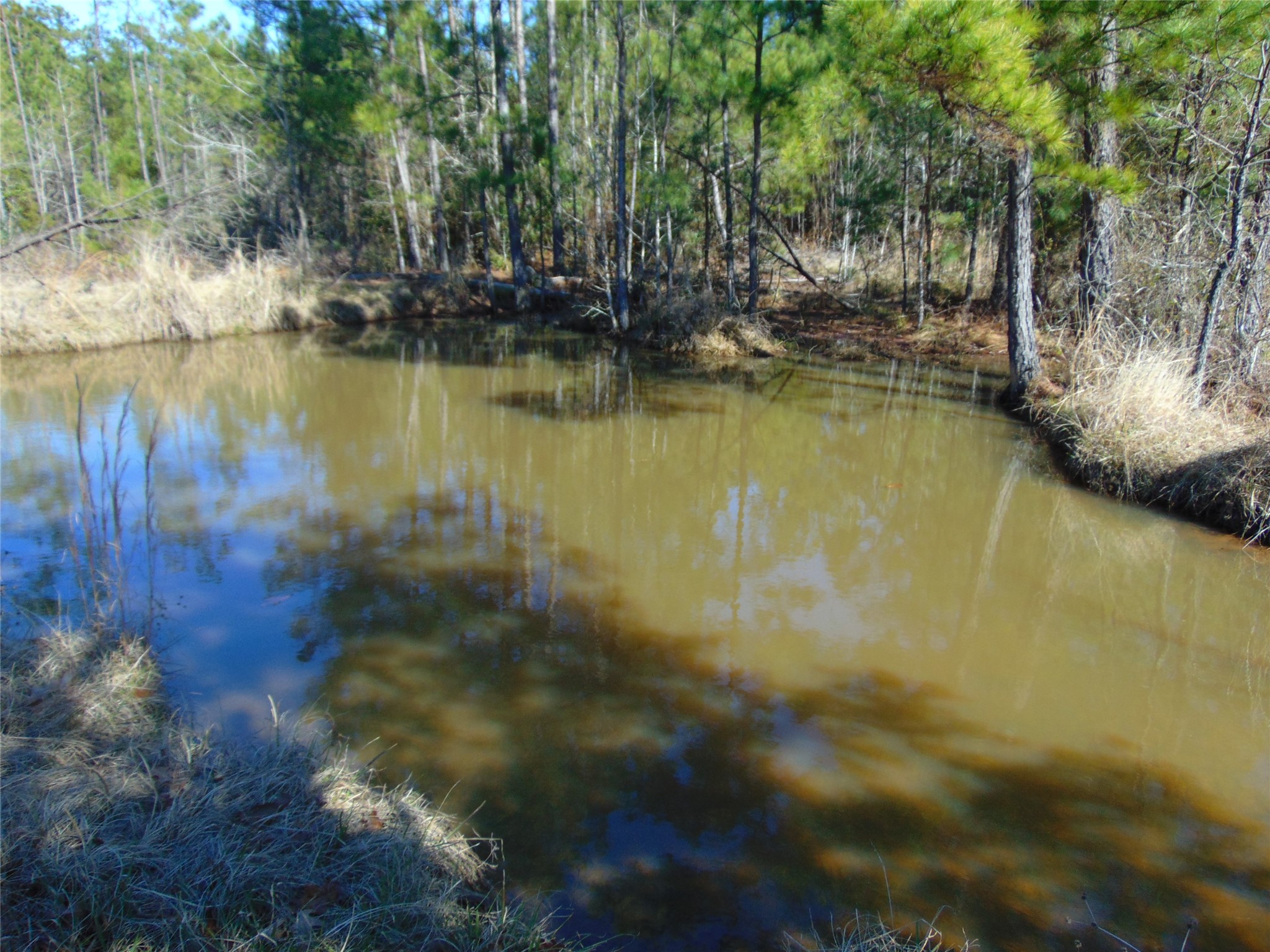 00 Cr 403 Property Photo 7