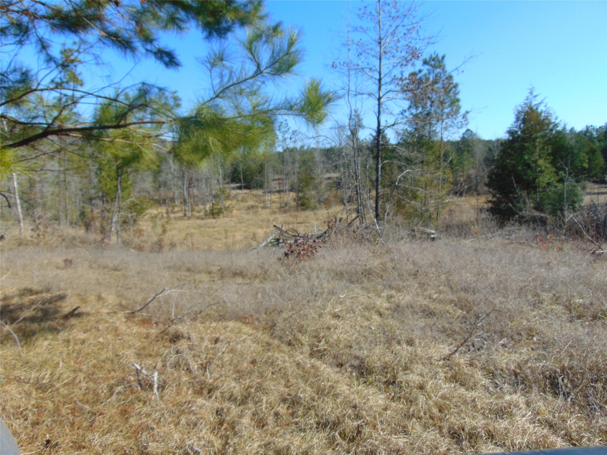 00 Cr 403 Property Photo 8