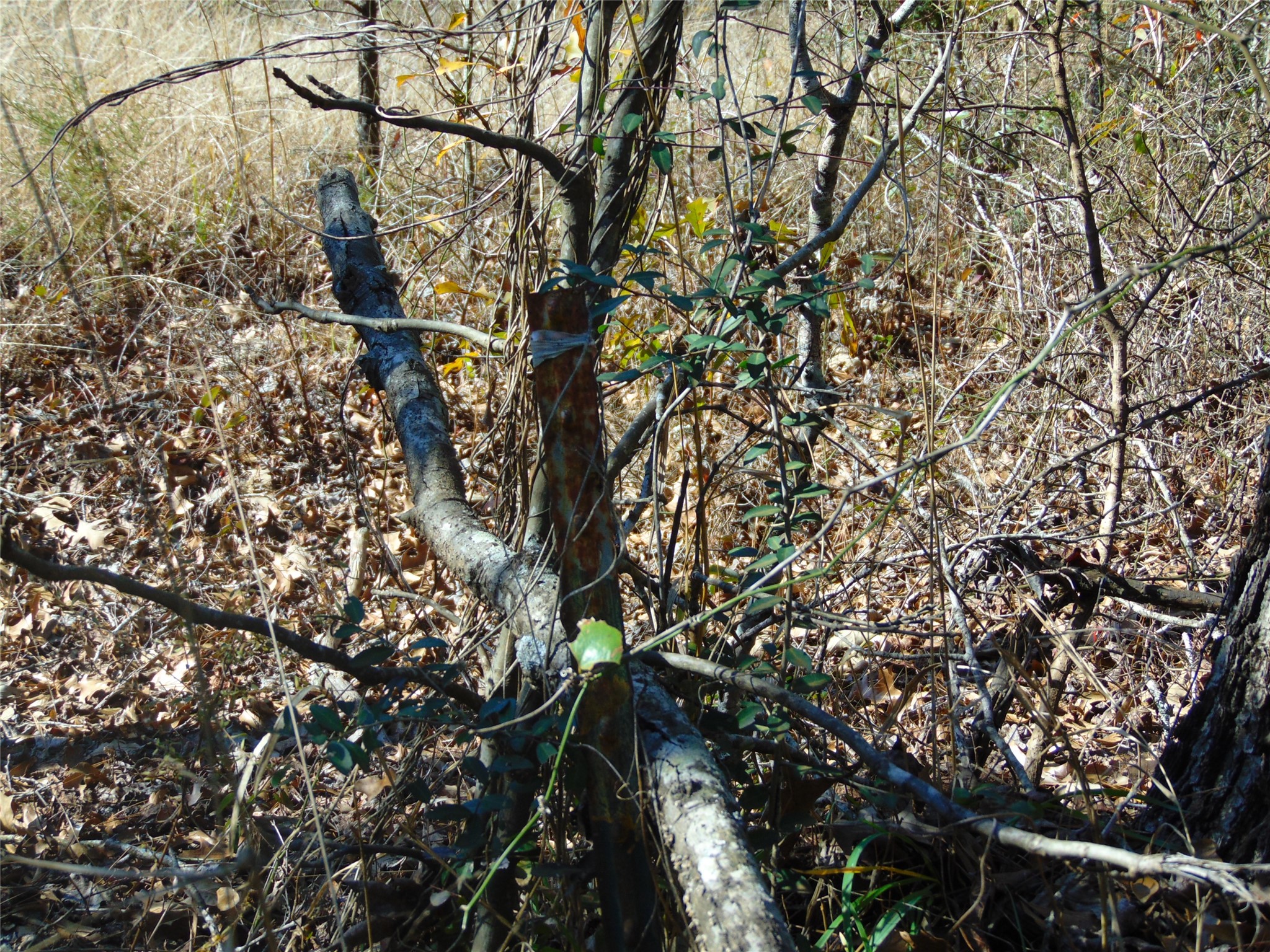 00 Cr 403 Property Photo 9